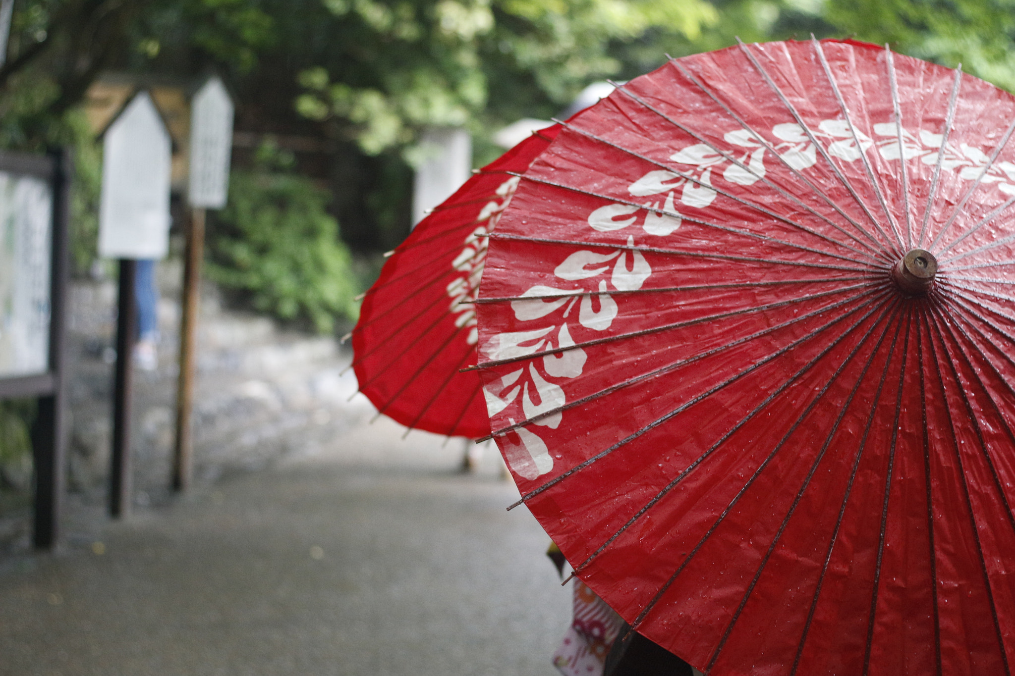 Canon EOS 650D (EOS Rebel T4i / EOS Kiss X6i) sample photo. Culture photography