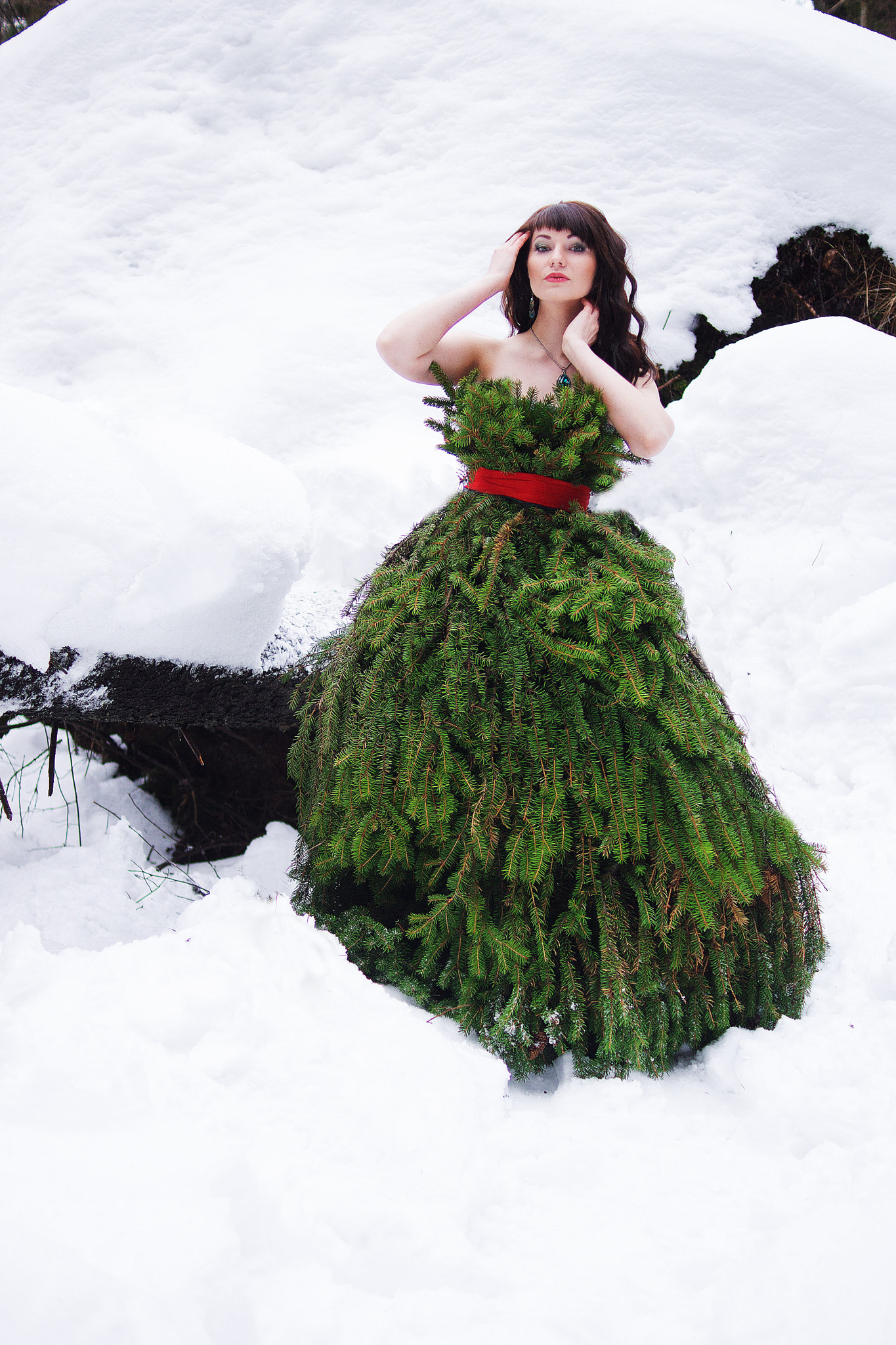 Sony SLT-A77 + Sony DT 35mm F1.8 SAM sample photo. Spruce fairy photography