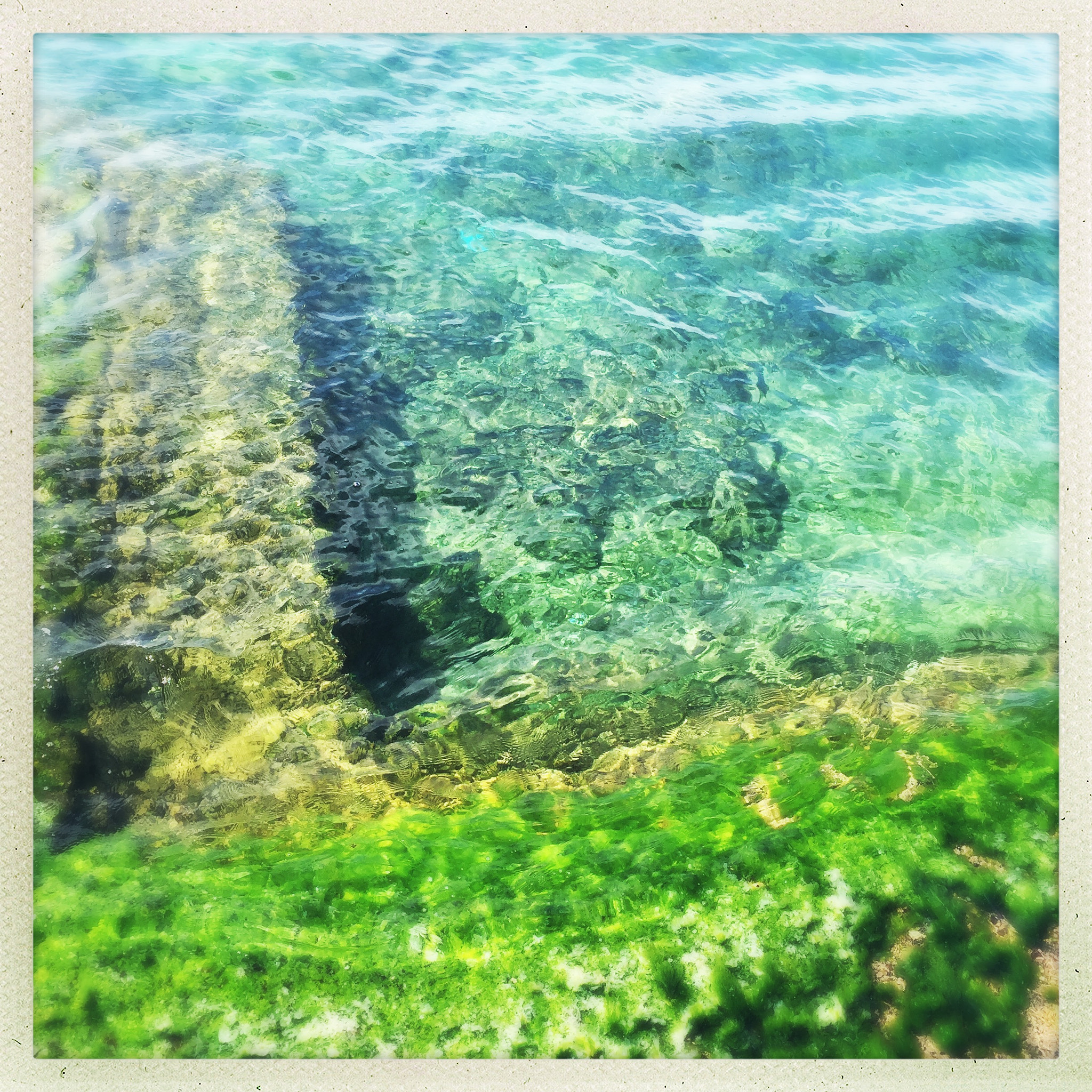 Hipstamatic 302 sample photo. Shades of green photography