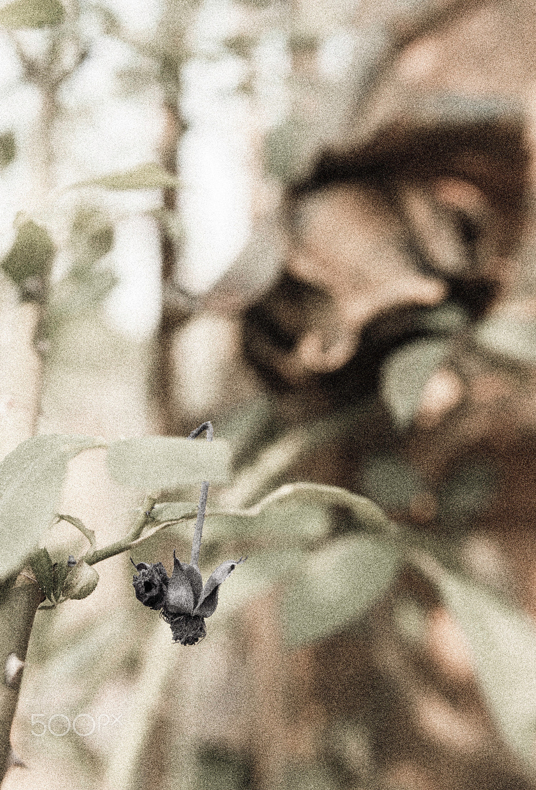 Nikon AF-S Nikkor 200-400mm F4G ED-IF VR sample photo. I'll be die soon. but you will be eternal. photography