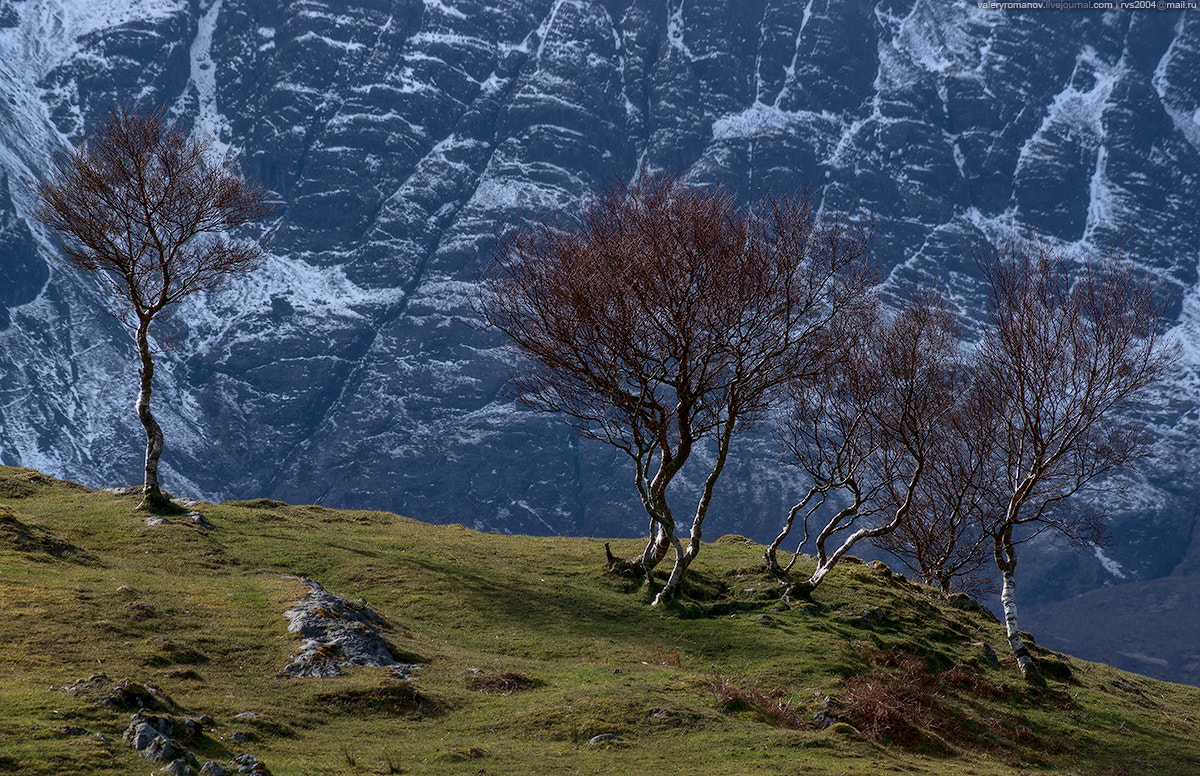 Sony a99 II + Minolta AF 100-400mm F4.5-6.7 APO sample photo. Green and blue photography