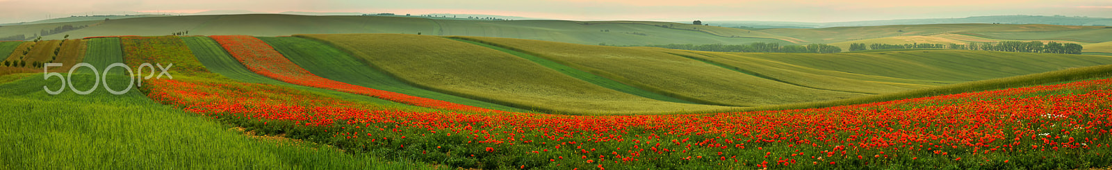 Pentax K-5 II sample photo. Fields photography