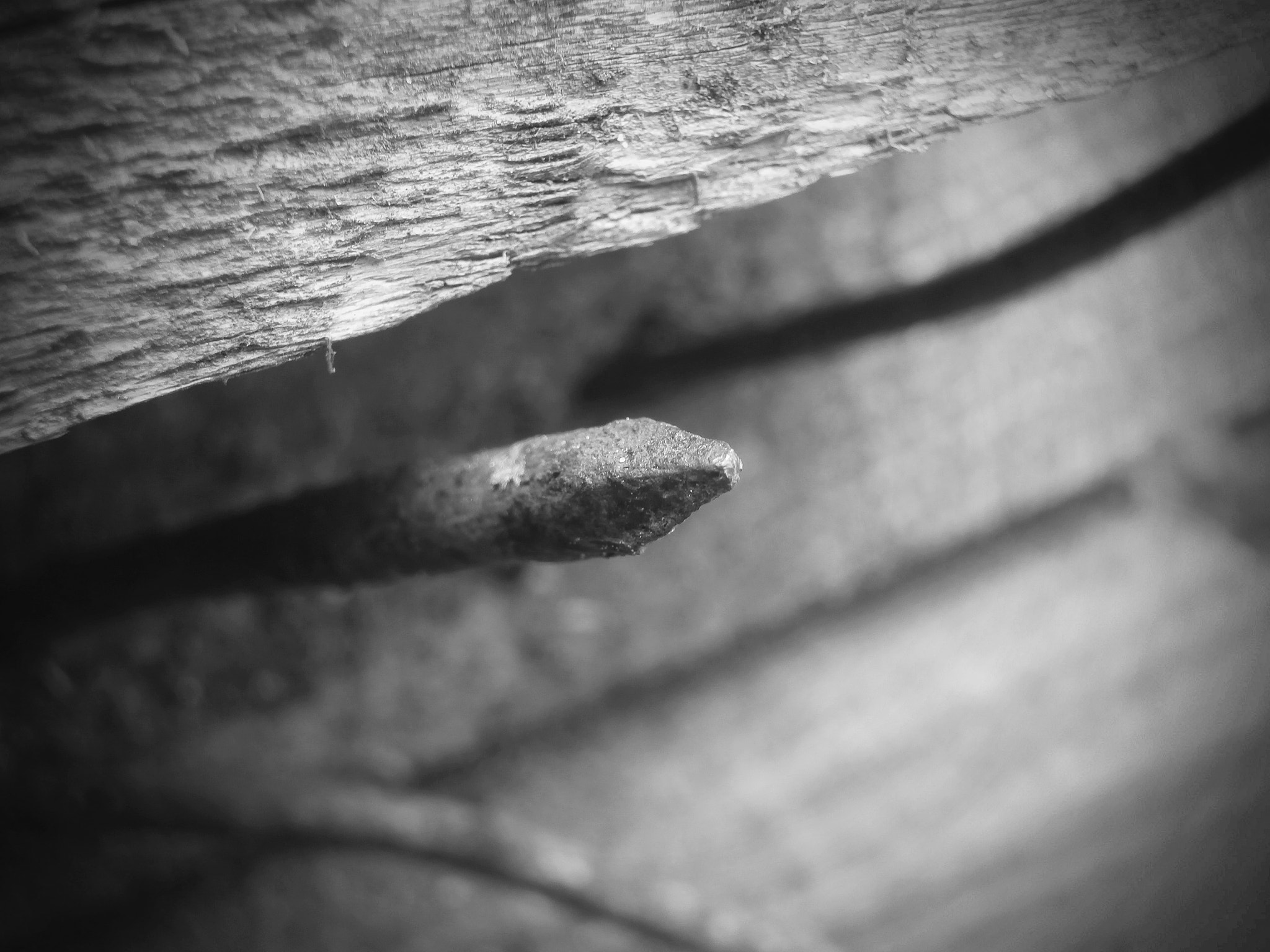 Olympus VR340,D750 sample photo. Nails_01 photography