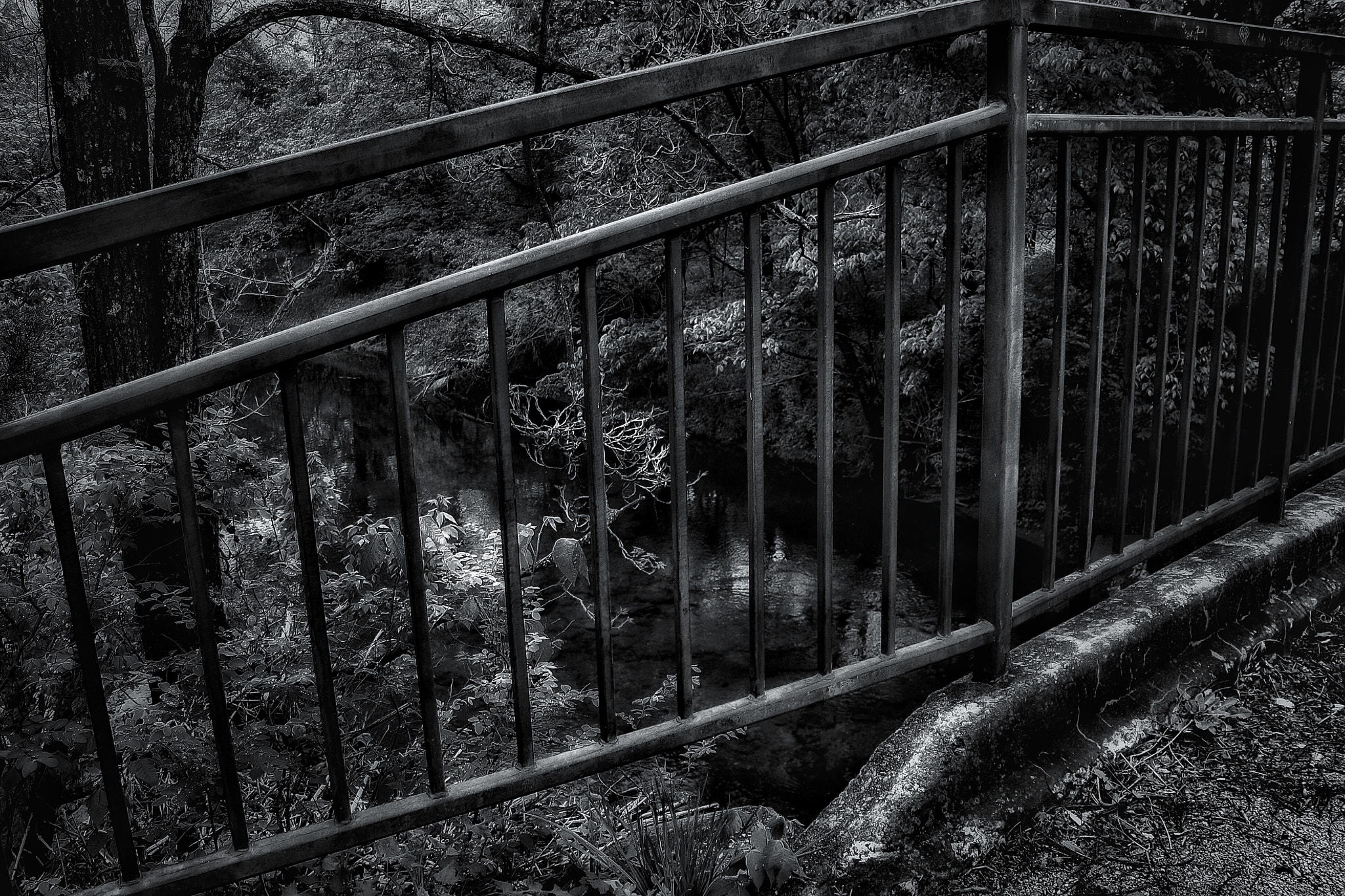 Canon EOS 1000D (EOS Digital Rebel XS / EOS Kiss F) + Canon EF-S 18-55mm F3.5-5.6 IS sample photo. Footbridge at ritter springs photography