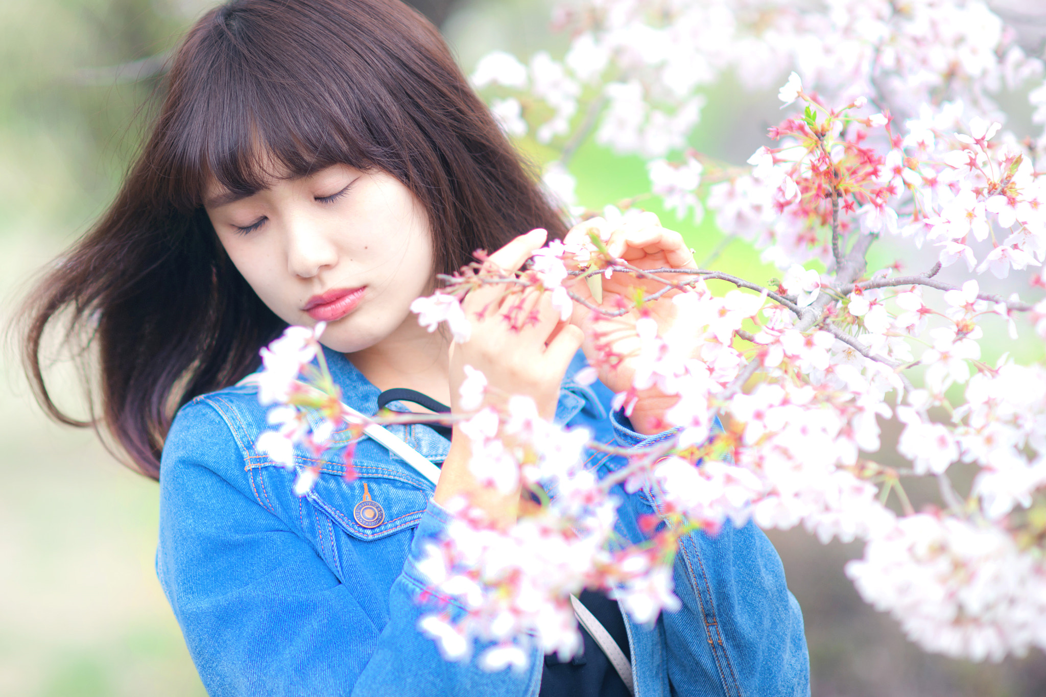 Sony Planar T* 85mm F1.4 ZA sample photo. Haruko photography