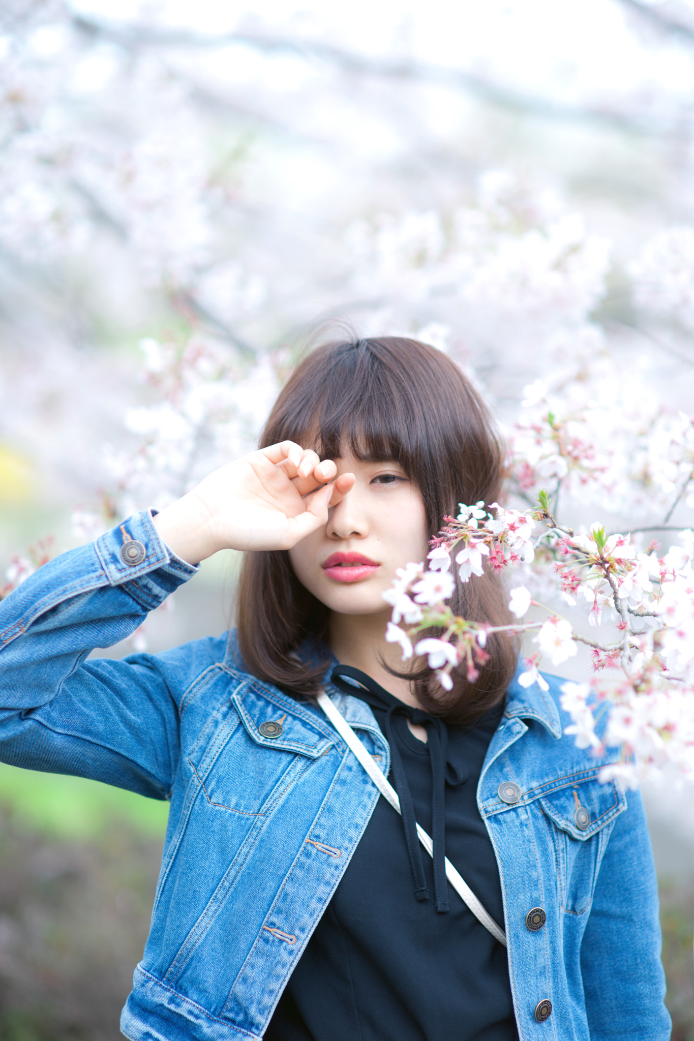Sony Planar T* 85mm F1.4 ZA sample photo. Haruko photography