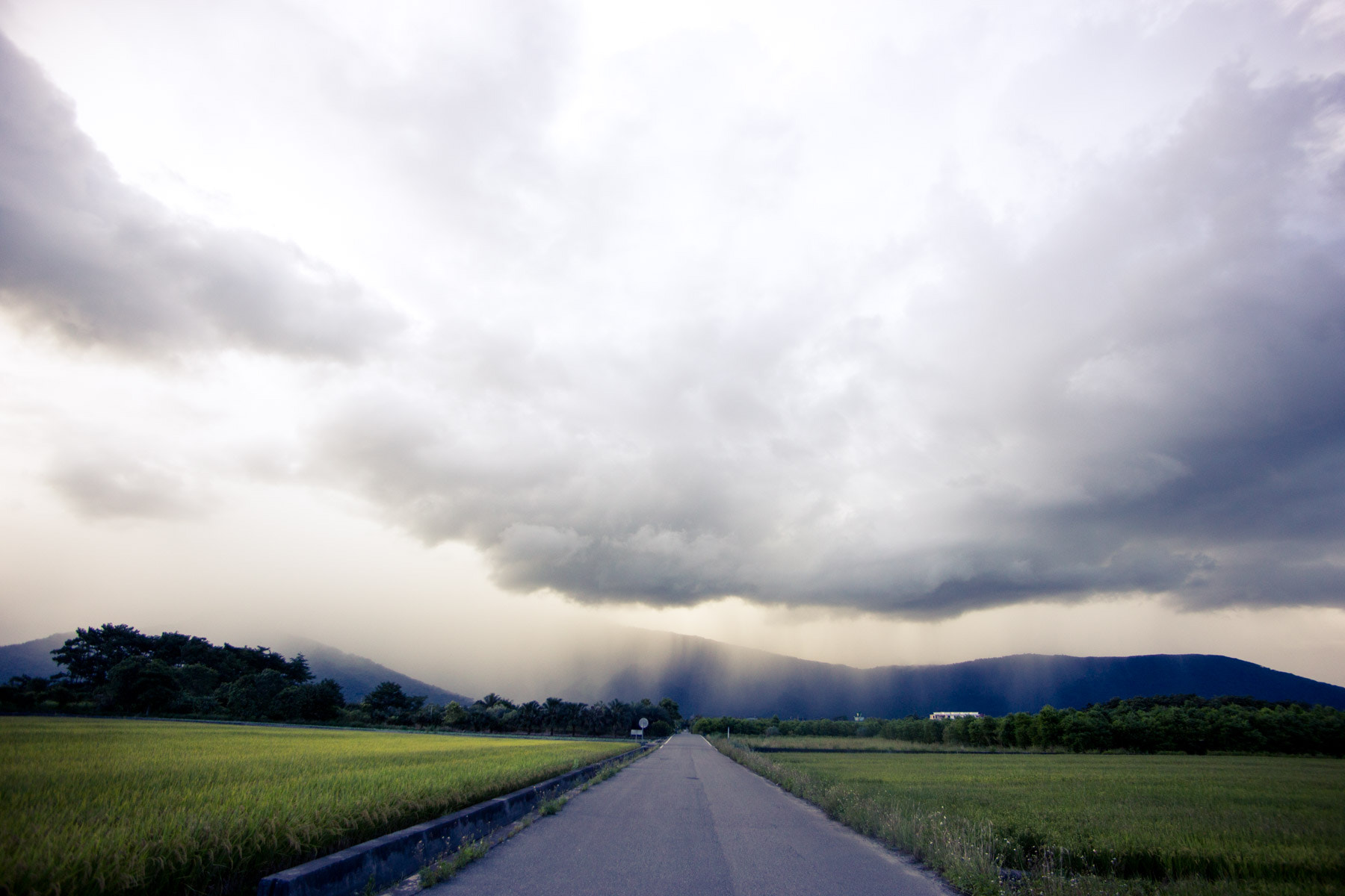 Tamron AF 19-35mm f/3.5-4.5 sample photo. A raining afternoon photography