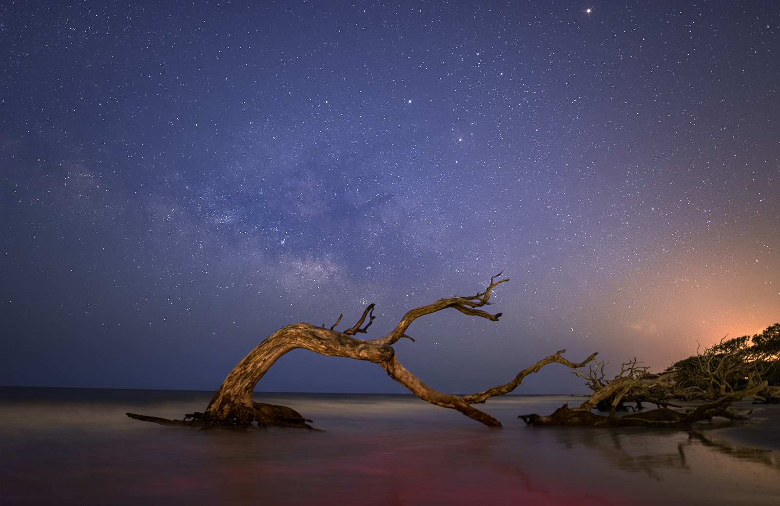 Nikon D600 + Samyang 12mm F2.8 ED AS NCS Fisheye sample photo. Jekyll blue hour photography