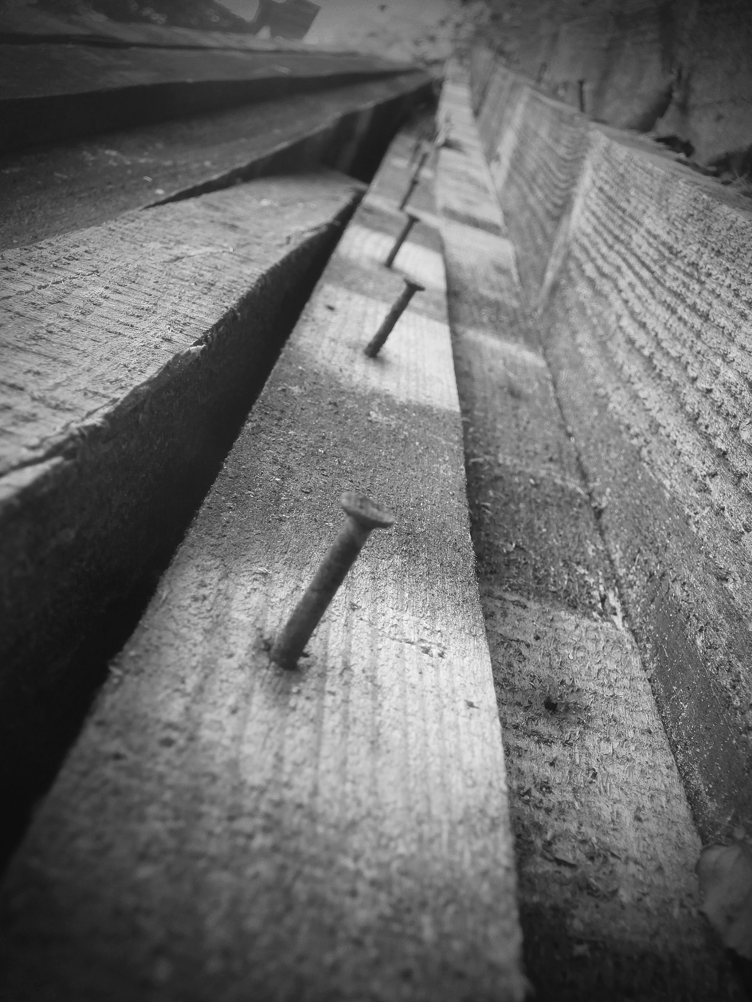 Olympus VR340,D750 sample photo. Nails_10 photography