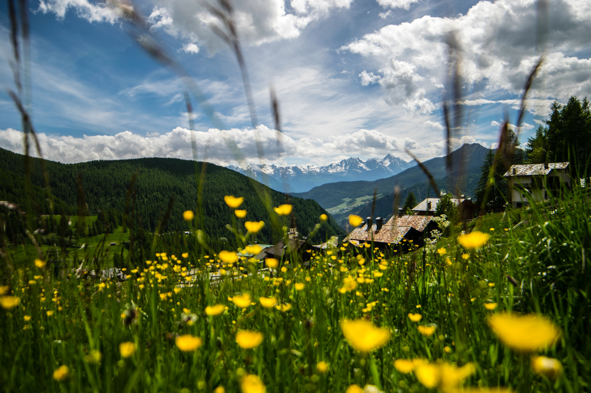 Nikon D5300 + Samyang 14mm F2.8 ED AS IF UMC sample photo. Chamois photography