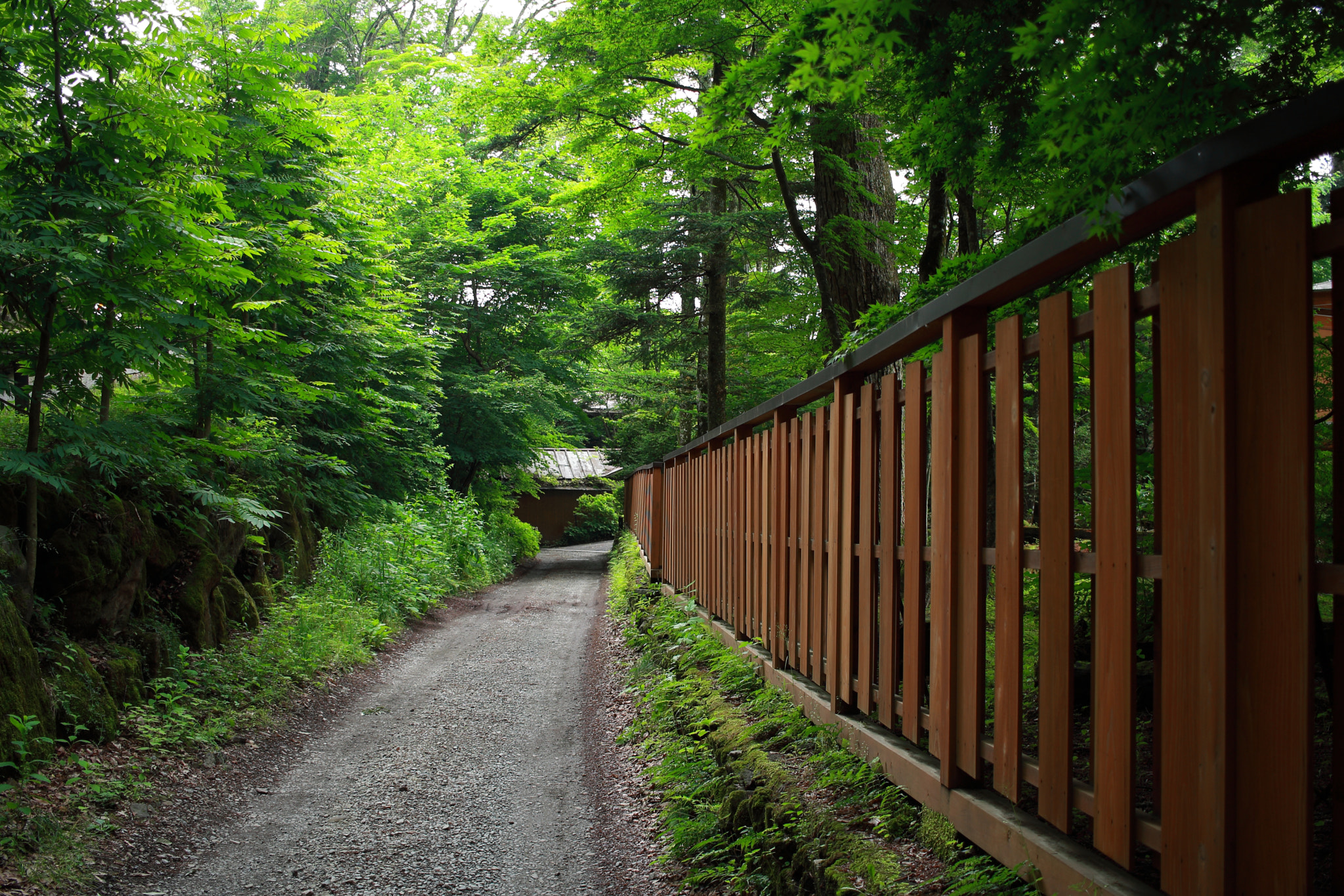 Canon EOS 1000D (EOS Digital Rebel XS / EOS Kiss F) sample photo. A back street of karuizawa photography