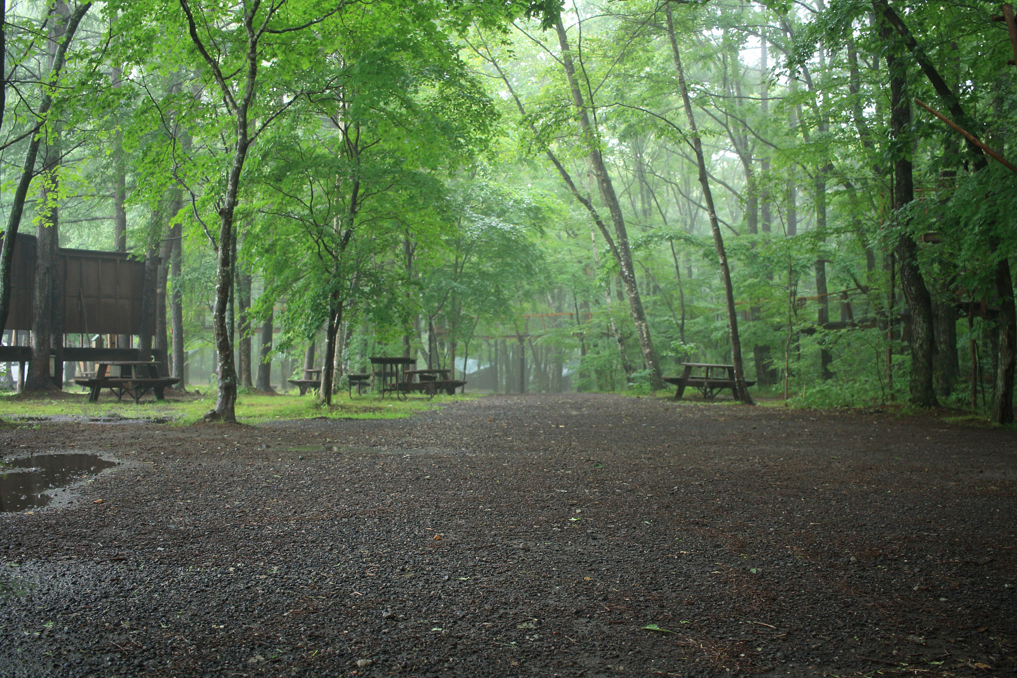 Canon EOS 1000D (EOS Digital Rebel XS / EOS Kiss F) + Canon EF-S 24mm F2.8 STM sample photo. Early morning of camp photography