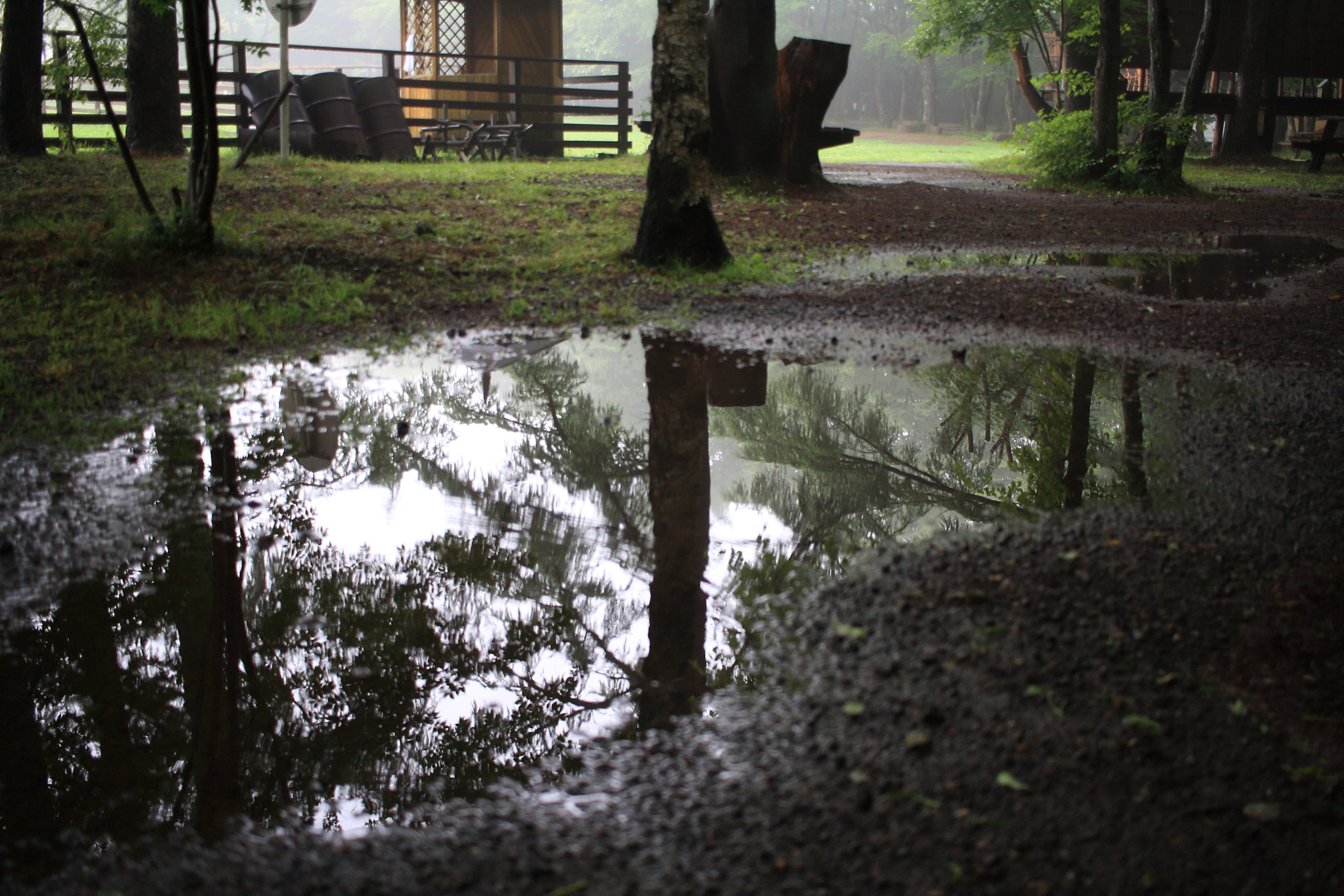 Canon EOS 1000D (EOS Digital Rebel XS / EOS Kiss F) + Canon EF-S 24mm F2.8 STM sample photo. Early morning of camp photography