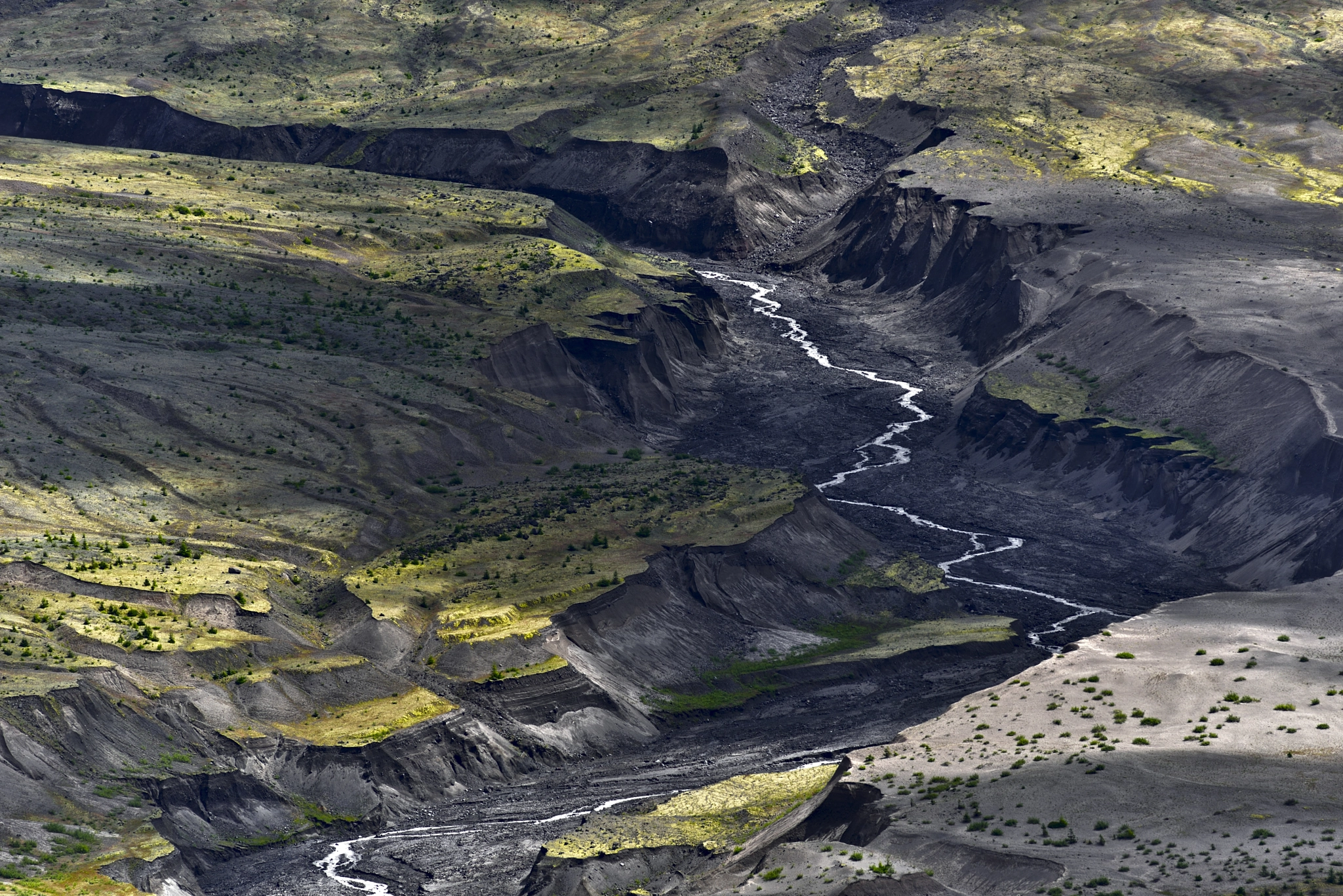 Nikon D800E + AF Nikkor 300mm f/4 IF-ED sample photo. Mt st helens, detail of stream in ashes photography