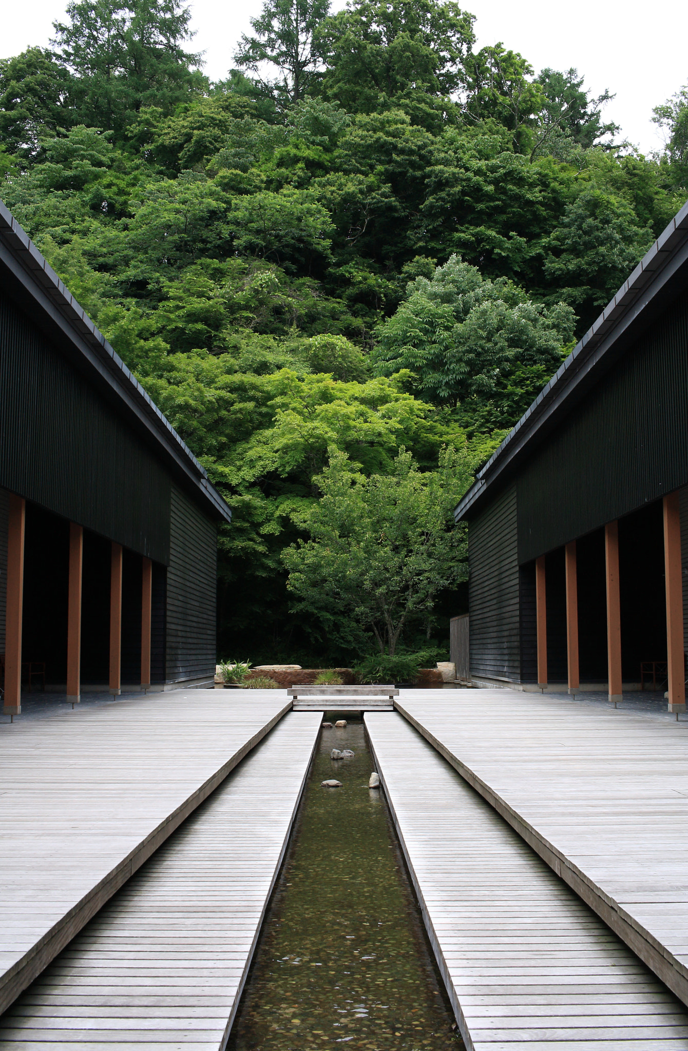 Canon EF-S 24mm F2.8 STM sample photo. Symmetry photography