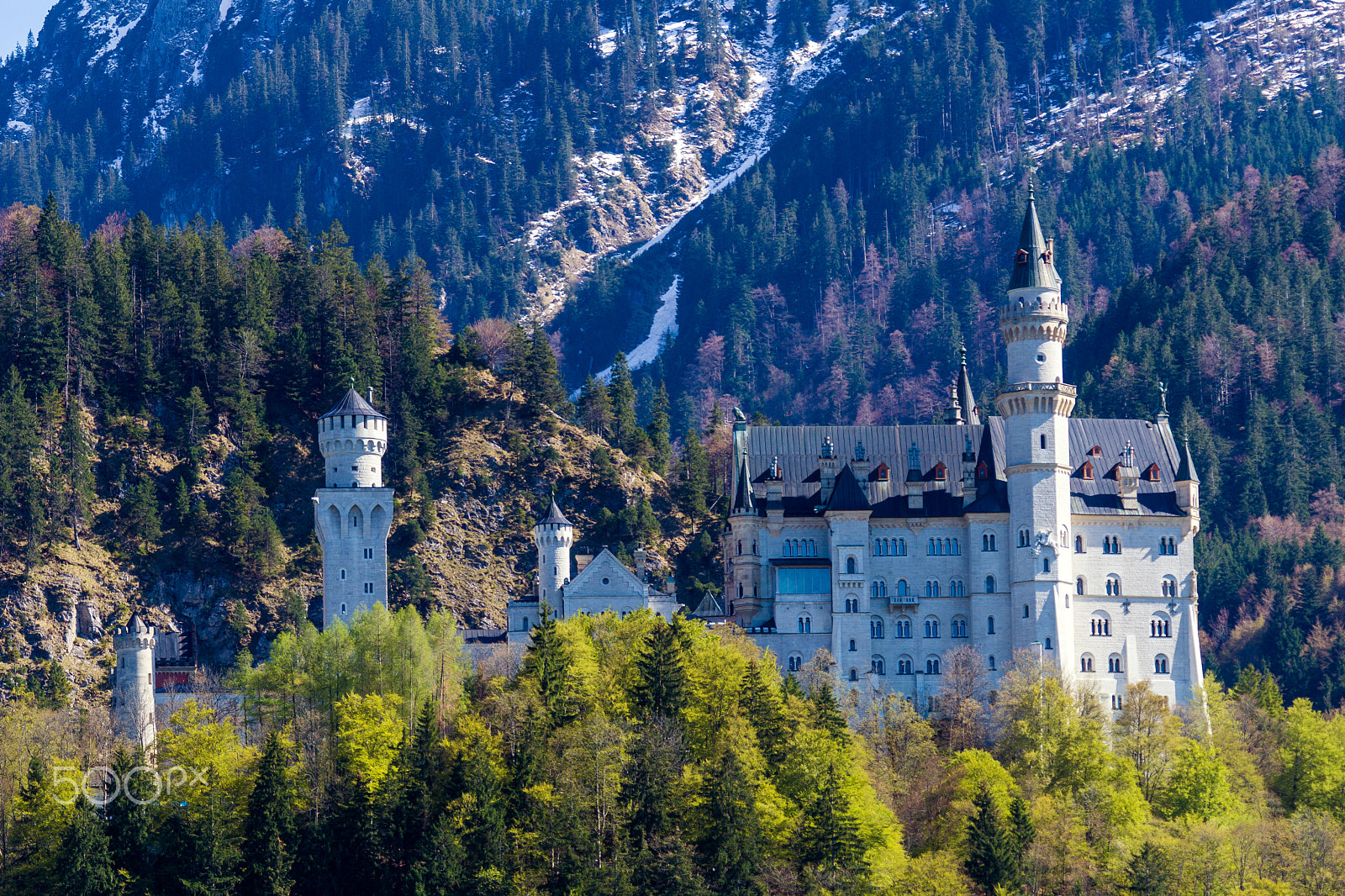 Sony 70-300mm F4.5-5.6 G SSM sample photo. Neuschwanstein castle photography