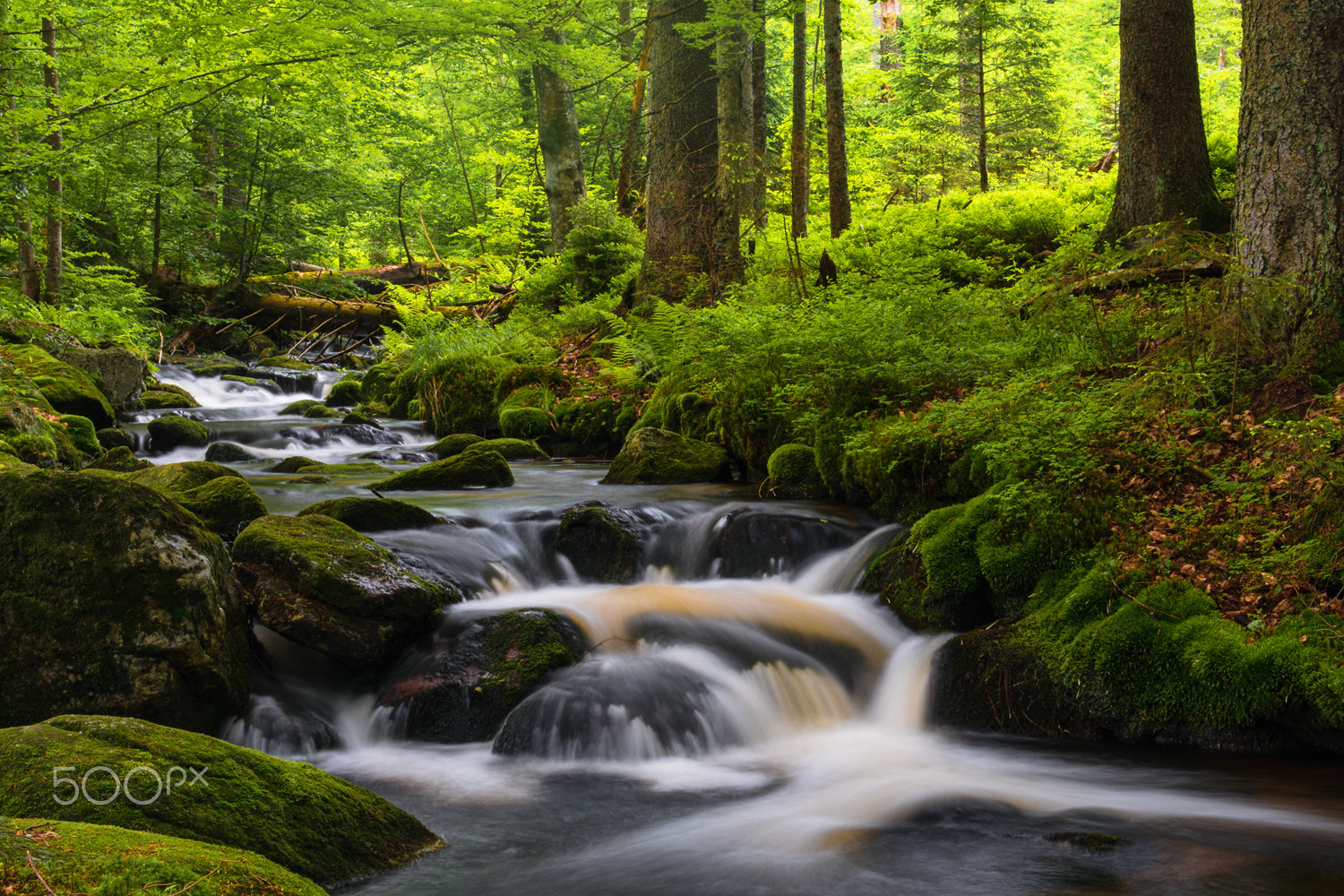 Nikon D500 + Tamron AF 28-75mm F2.8 XR Di LD Aspherical (IF) sample photo. A small creek in the bavarian forest iv photography