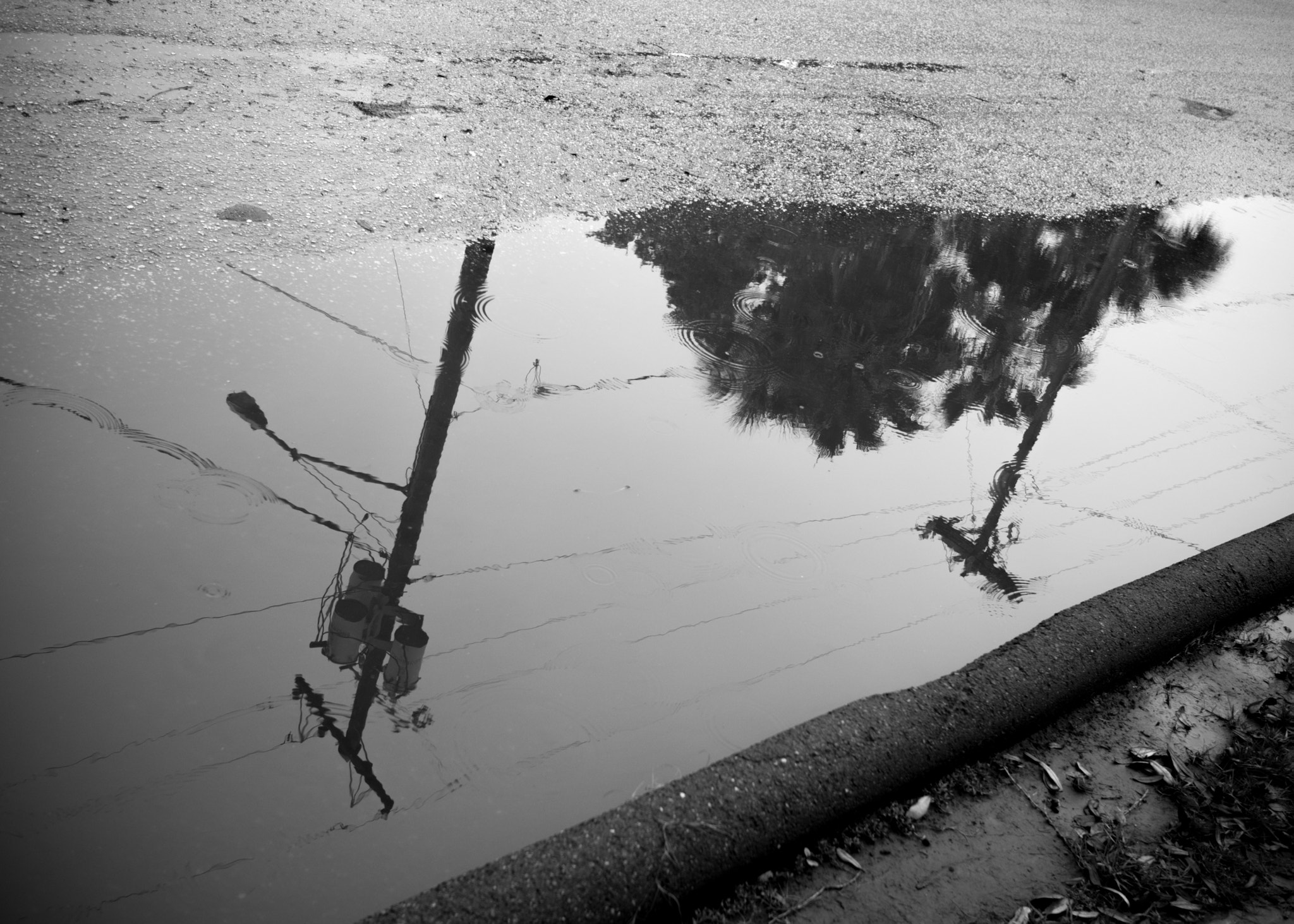 Olympus OM-D E-M1 + Panasonic Lumix G 20mm F1.7 ASPH sample photo. Depression paradise. photography