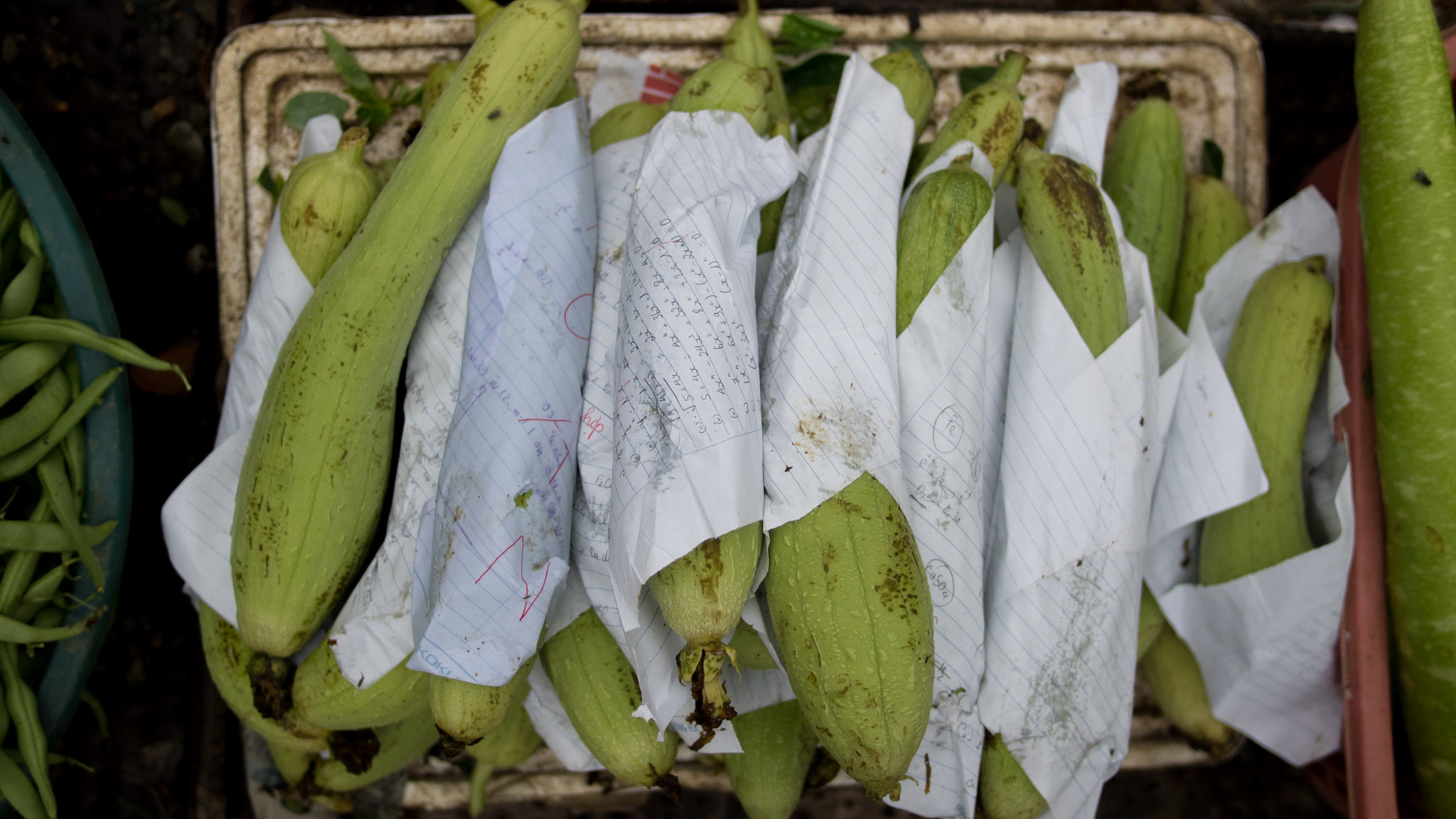 Olympus OM-D E-M1 + Panasonic Lumix G 20mm F1.7 ASPH sample photo. Local produce wrapped in fresh homework photography