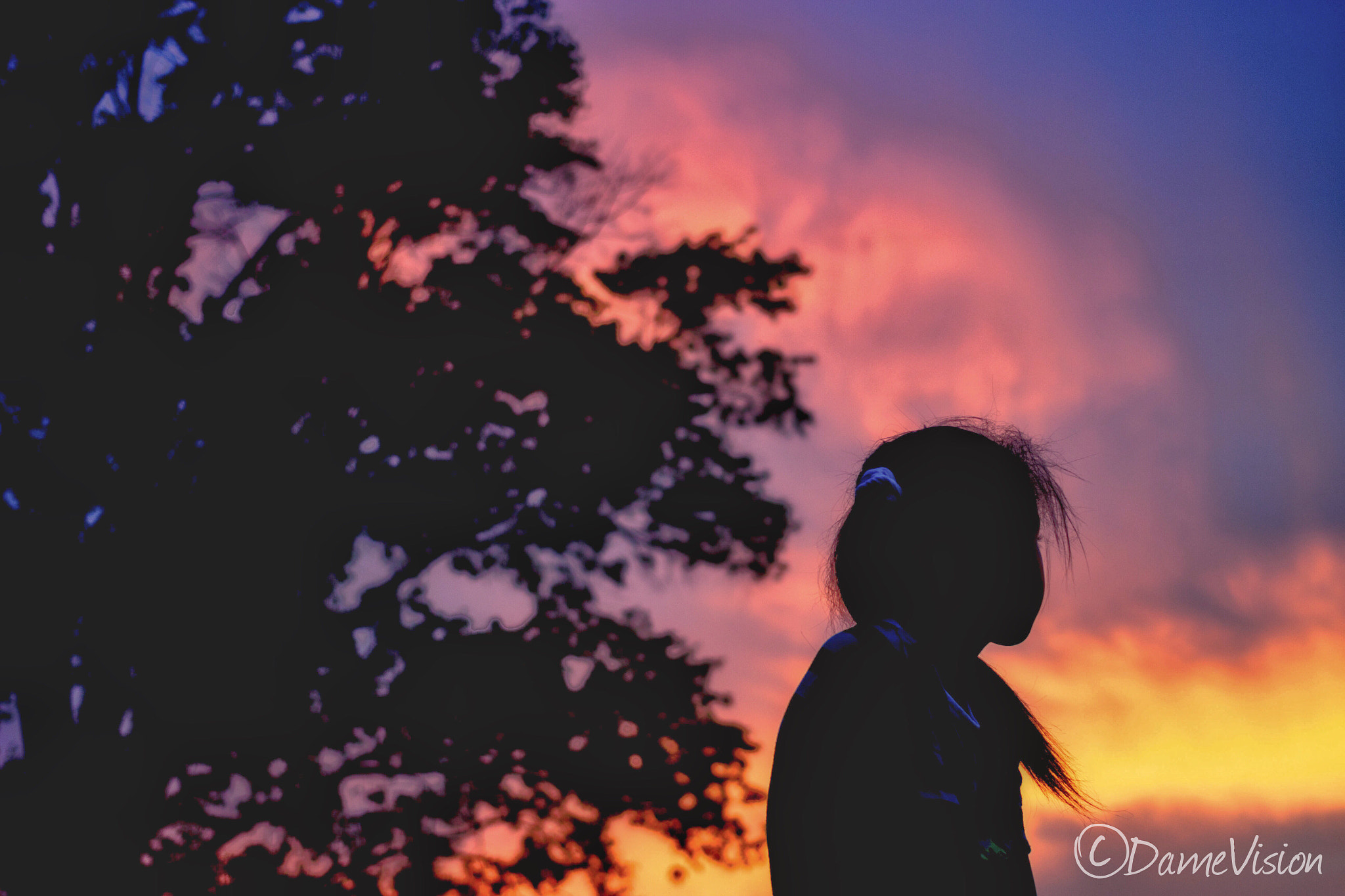 Canon EF 40mm F2.8 STM sample photo