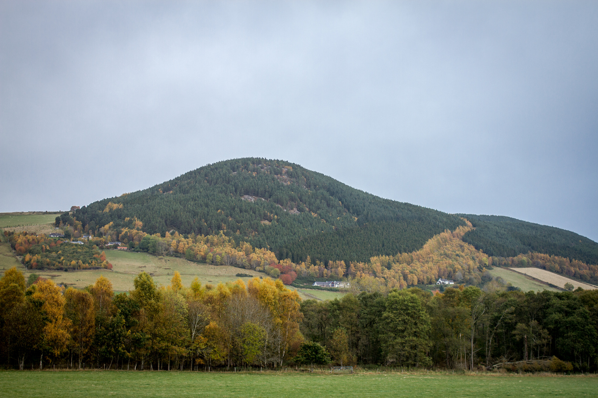 Canon EOS 7D + Canon EF 35mm F2 sample photo. Inverness photography