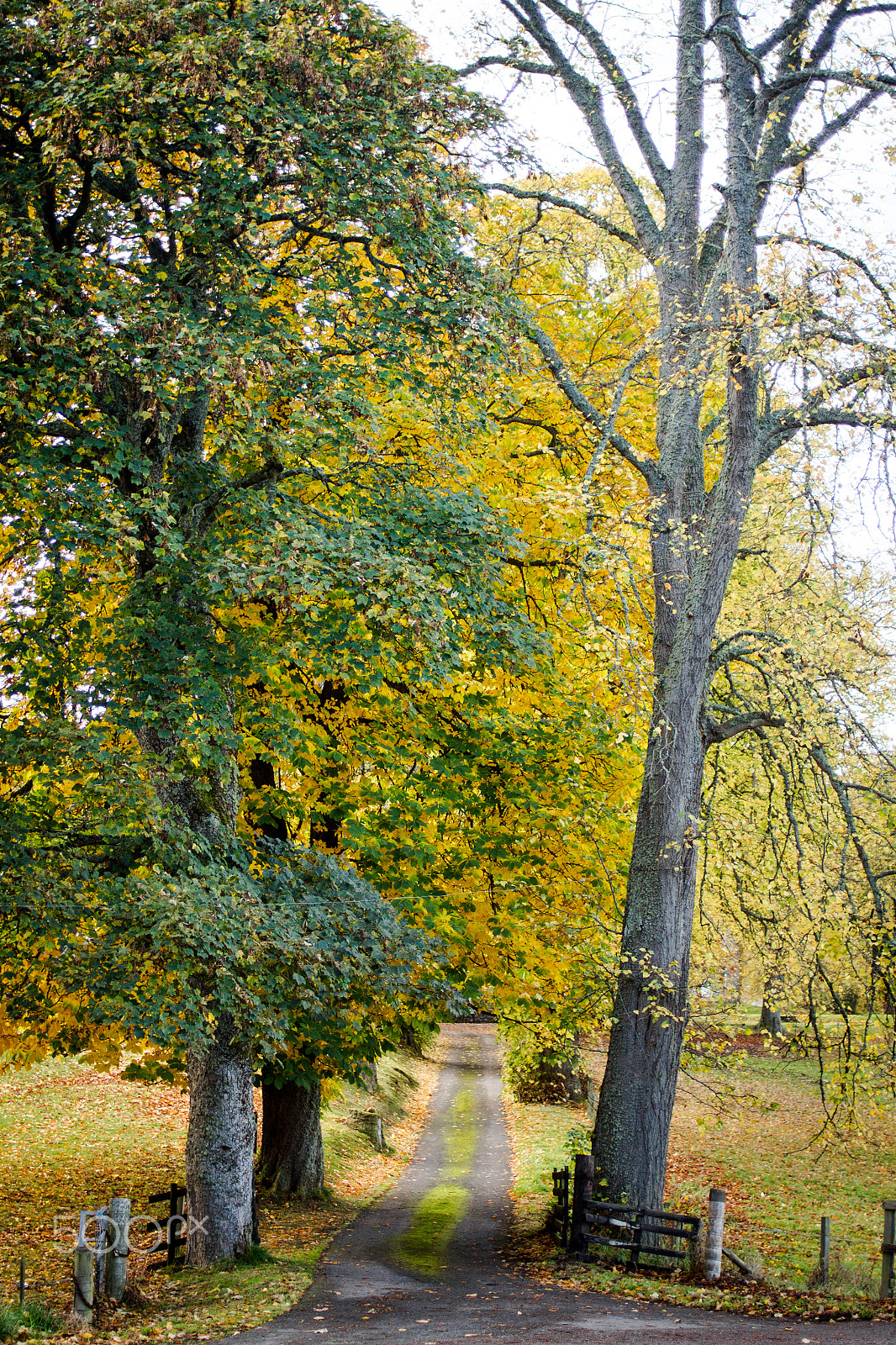 Canon EOS 7D + Canon EF 35mm F2 sample photo. Road less traveled photography