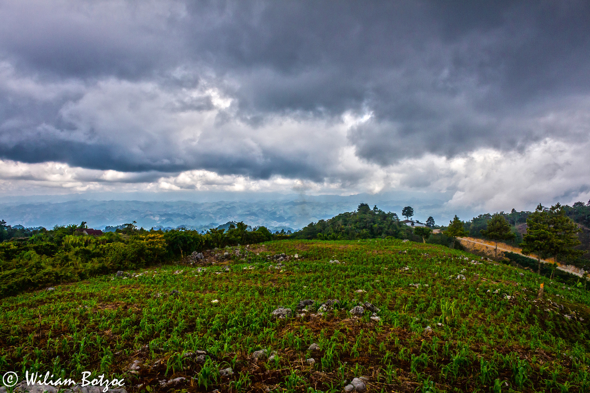 Canon EF-S 18-55mm F3.5-5.6 III sample photo. Maiz photography