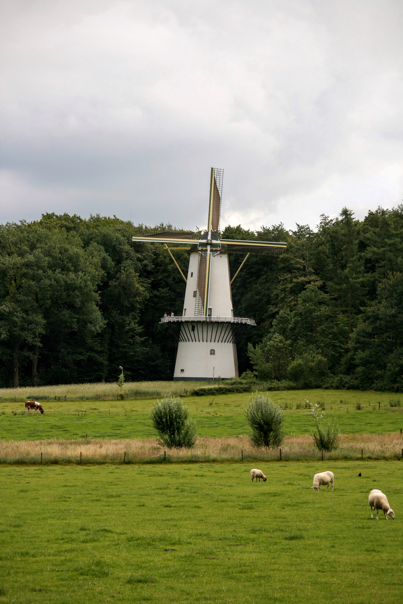 Canon EOS 400D (EOS Digital Rebel XTi / EOS Kiss Digital X) sample photo. Windmill photography