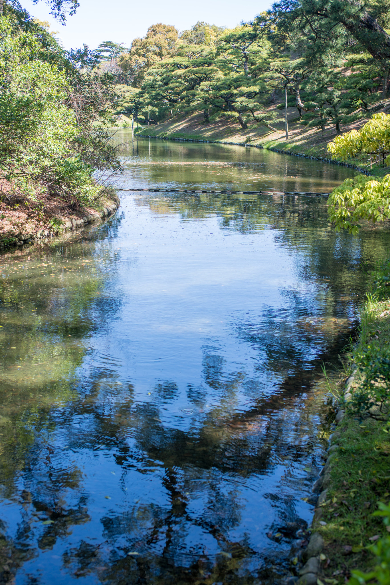 Nikon D800 + AF Zoom-Nikkor 35-70mm f/2.8D sample photo. 20160417-dsc_2165.jpg photography