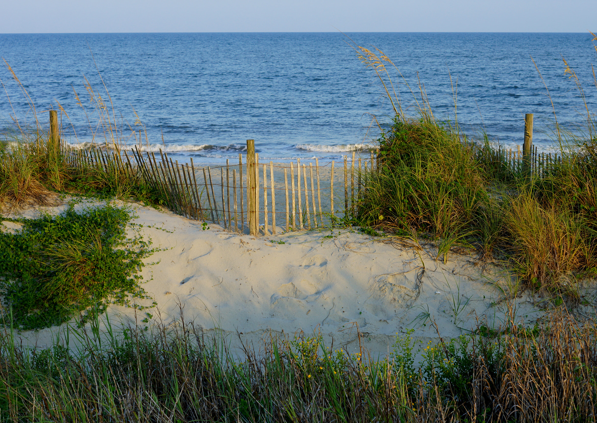 Sony SLT-A77 + Sony DT 50mm F1.8 SAM sample photo. The dunes photography