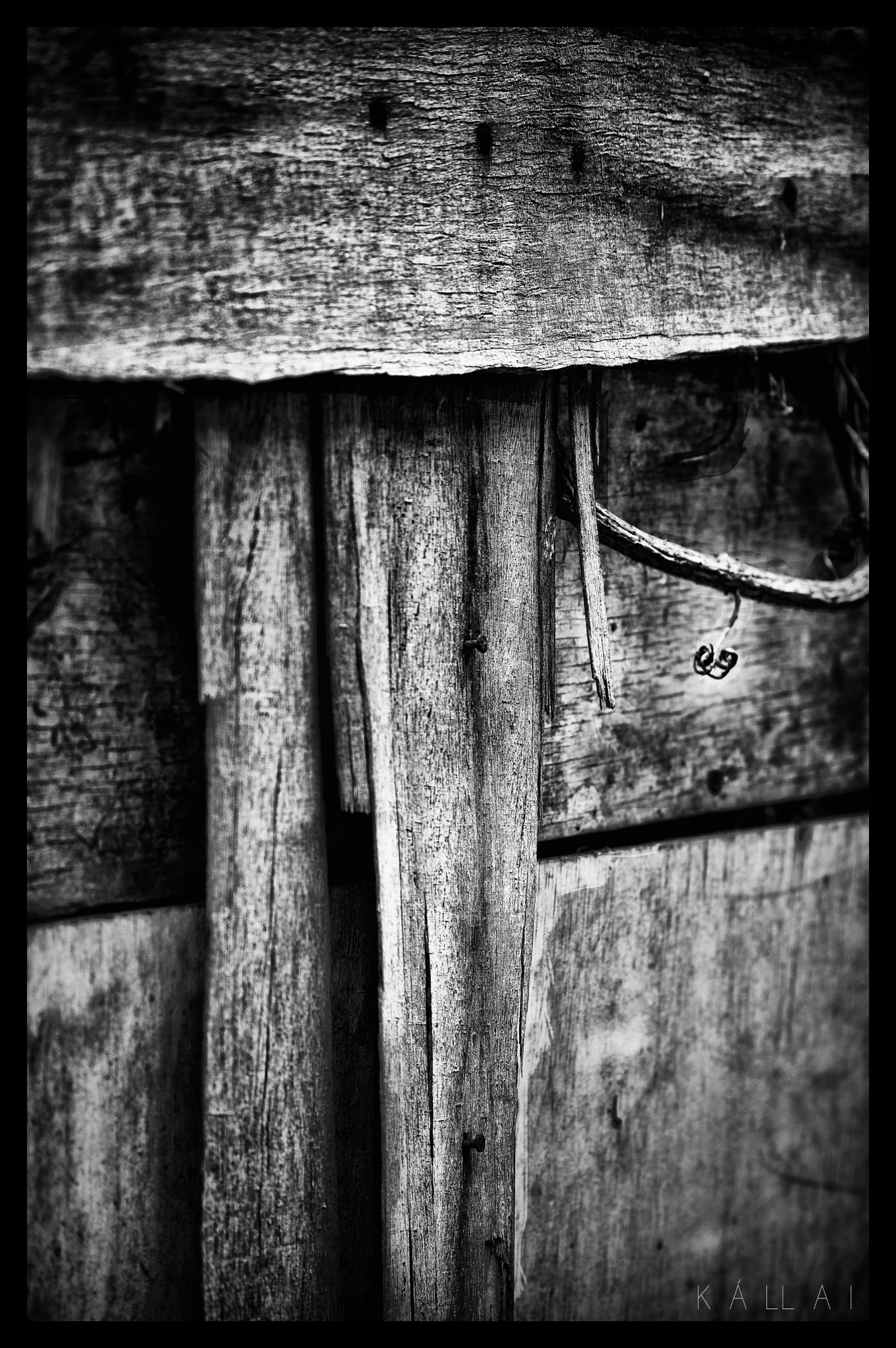 Pentax smc DA* 50-135mm F2.8 ED (IF) SDM sample photo. Togetherness photography