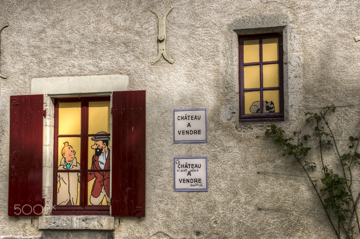 Pentax smc DA 17-70mm F4.0 AL (IF) SDM sample photo. Tintin castle photography
