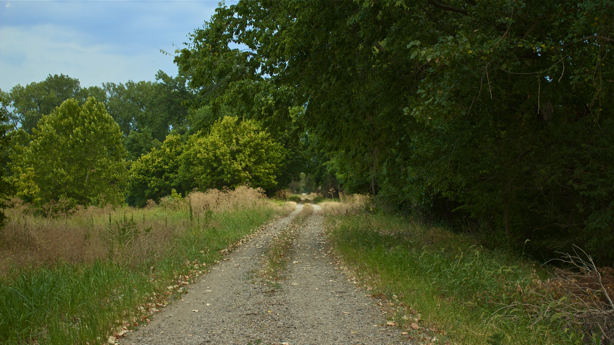 Canon EOS 550D (EOS Rebel T2i / EOS Kiss X4) + Canon EF 28mm F2.8 sample photo. Illinois rock road photography