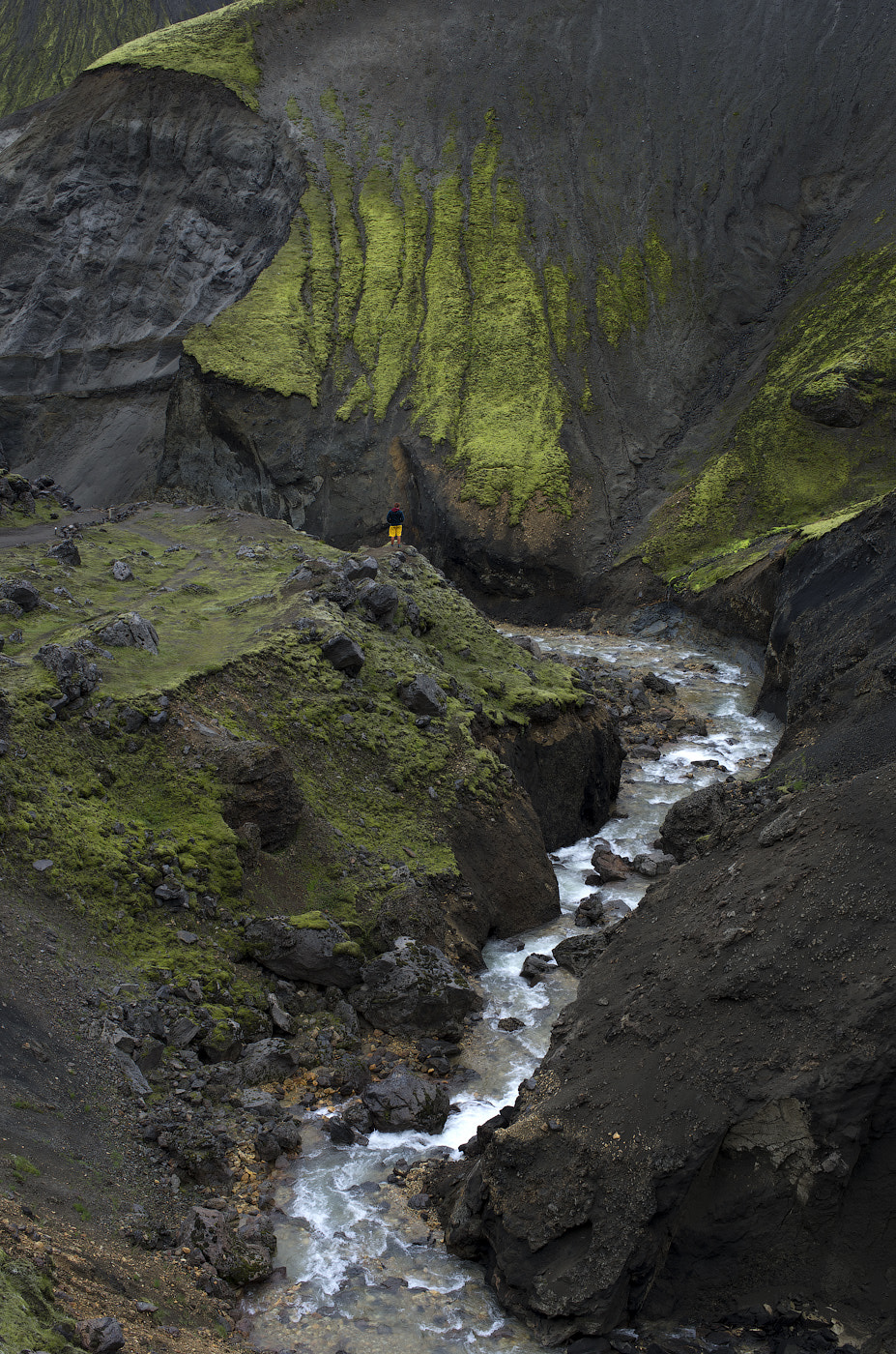 Pentax smc DA 35mm F2.8 Macro Limited sample photo. Grænagil - green gorge photography
