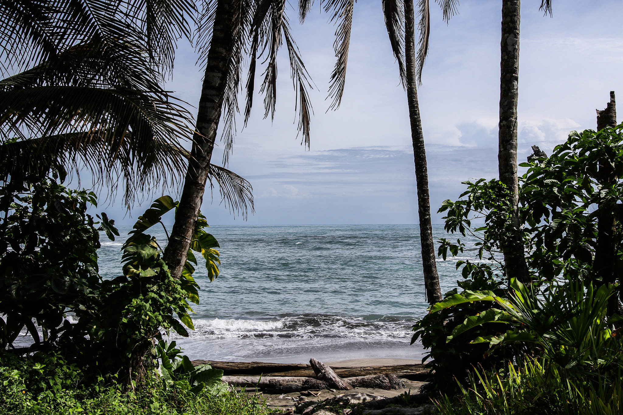 Sigma 24mm F1.4 DG HSM Art sample photo. Natural gates to the caribbeans photography