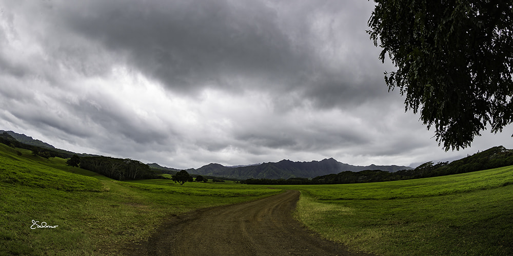 Canon EF 8-15mm F4L Fisheye USM sample photo. Jurassic kahili ranch etsy photography