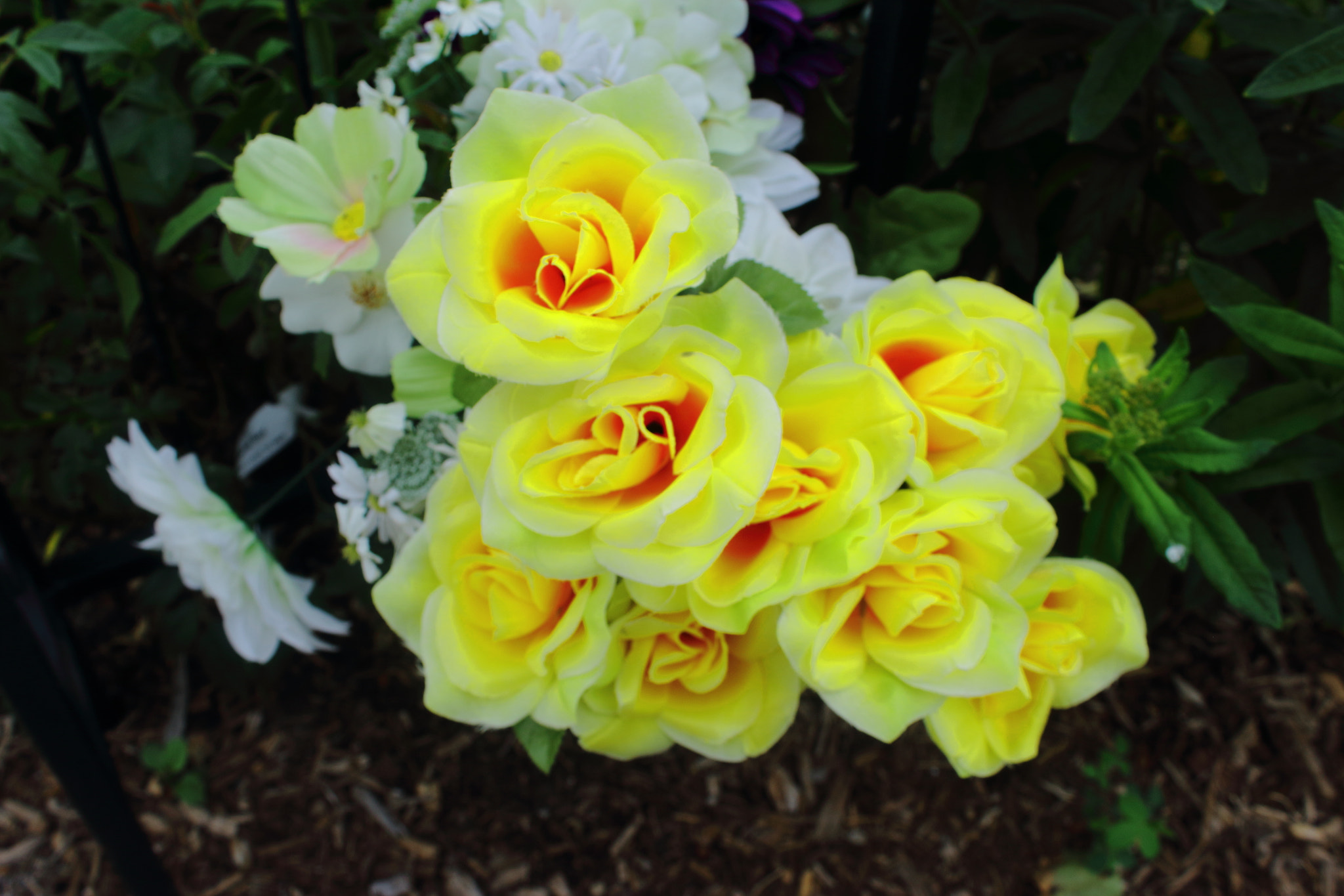 Canon EOS 100D (EOS Rebel SL1 / EOS Kiss X7) sample photo. Yellow flowers photography