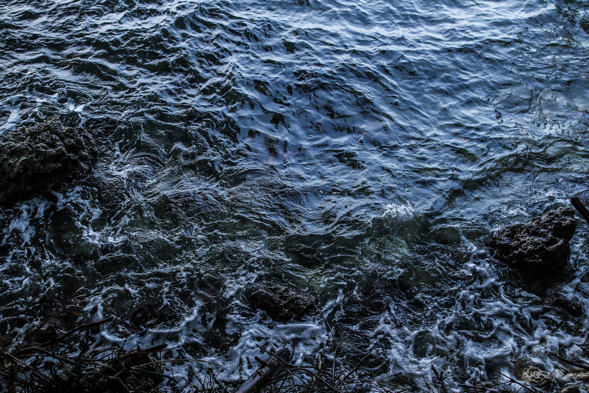 Sigma 24mm F1.4 DG HSM Art sample photo. Water paint photography