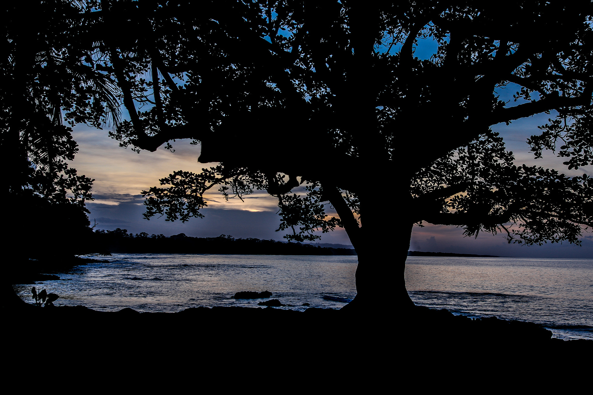 Sigma 24mm F1.4 DG HSM Art sample photo. Positivity in negativity photography
