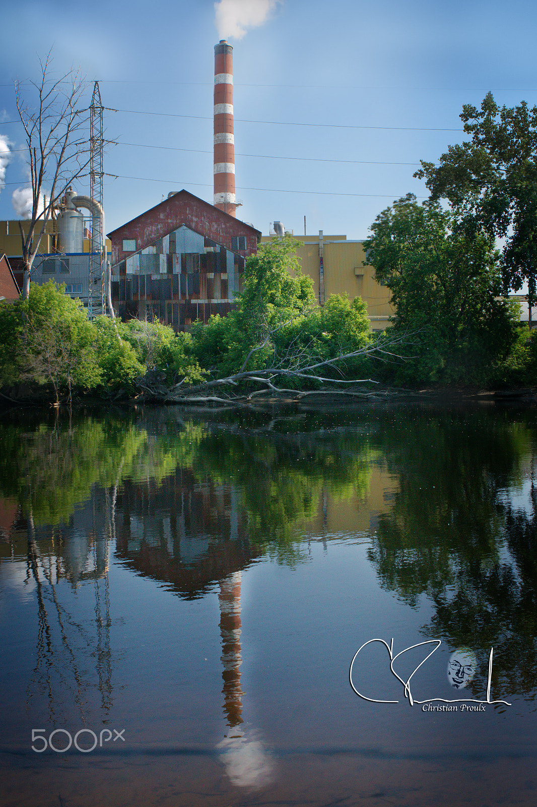 Canon EF 24-70mm F2.8L USM sample photo. Arbre mort photography