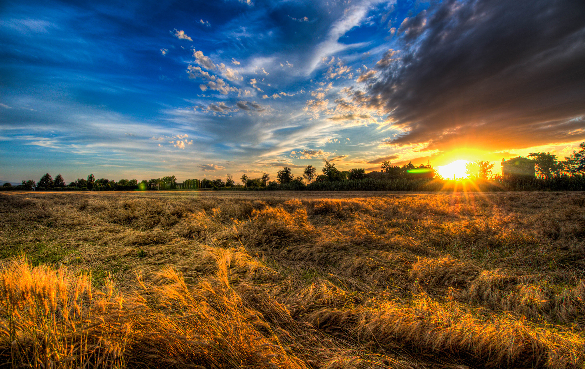 Canon EF-S 10-18mm F4.5–5.6 IS STM sample photo. Colored cornfield photography