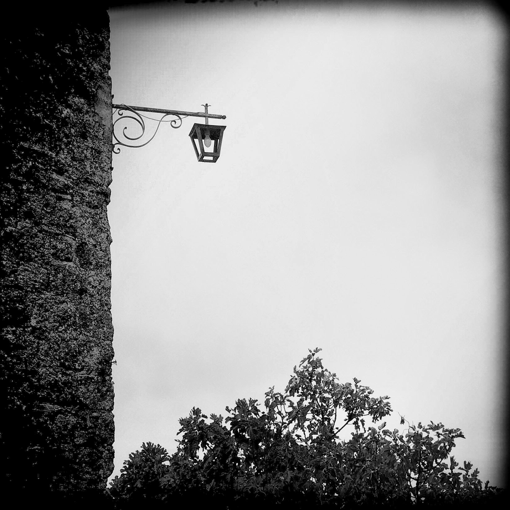 Hipstamatic 280 sample photo. Lamp and leaves photography