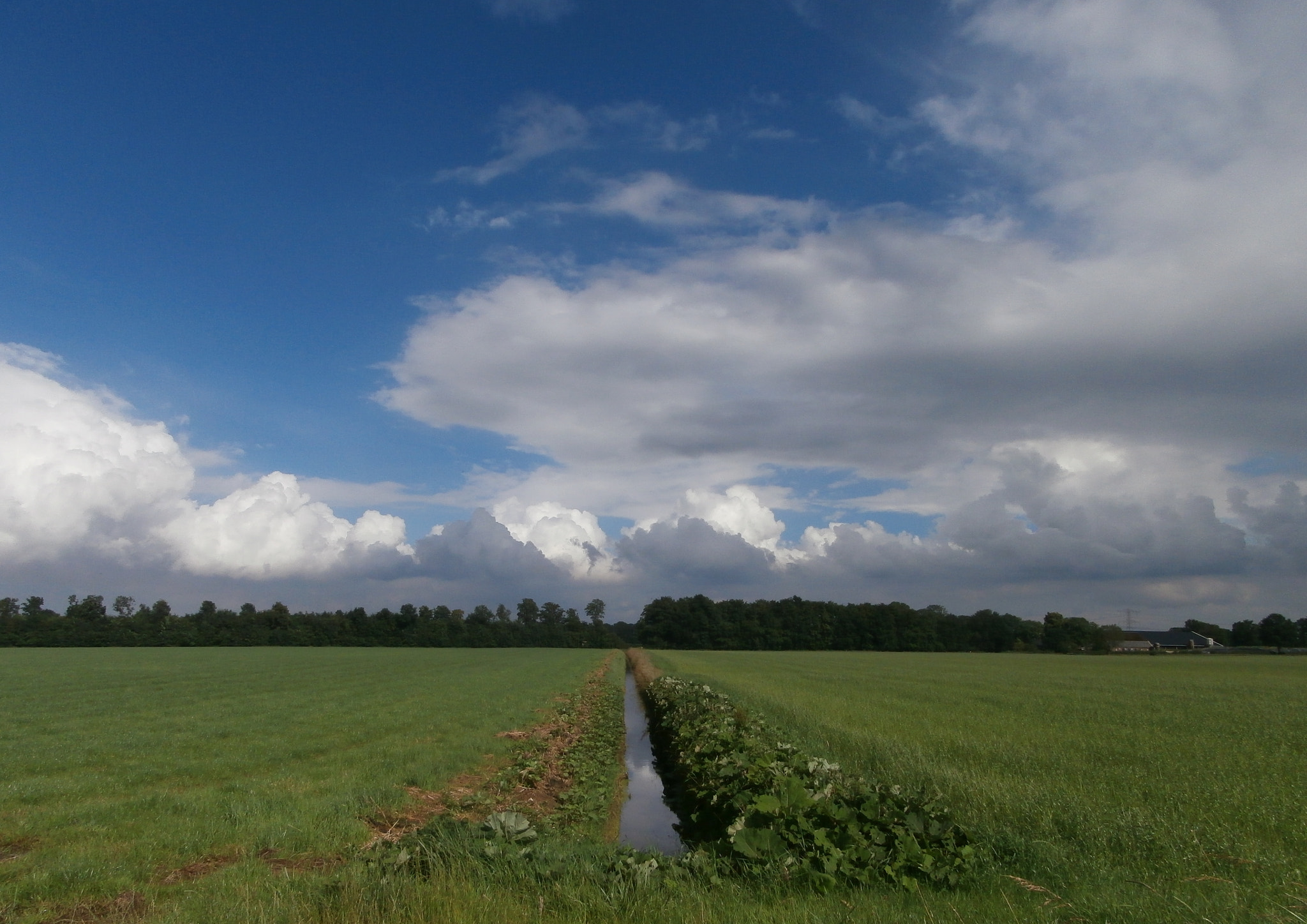Olympus VR340,D750 sample photo. Sun after rain photography