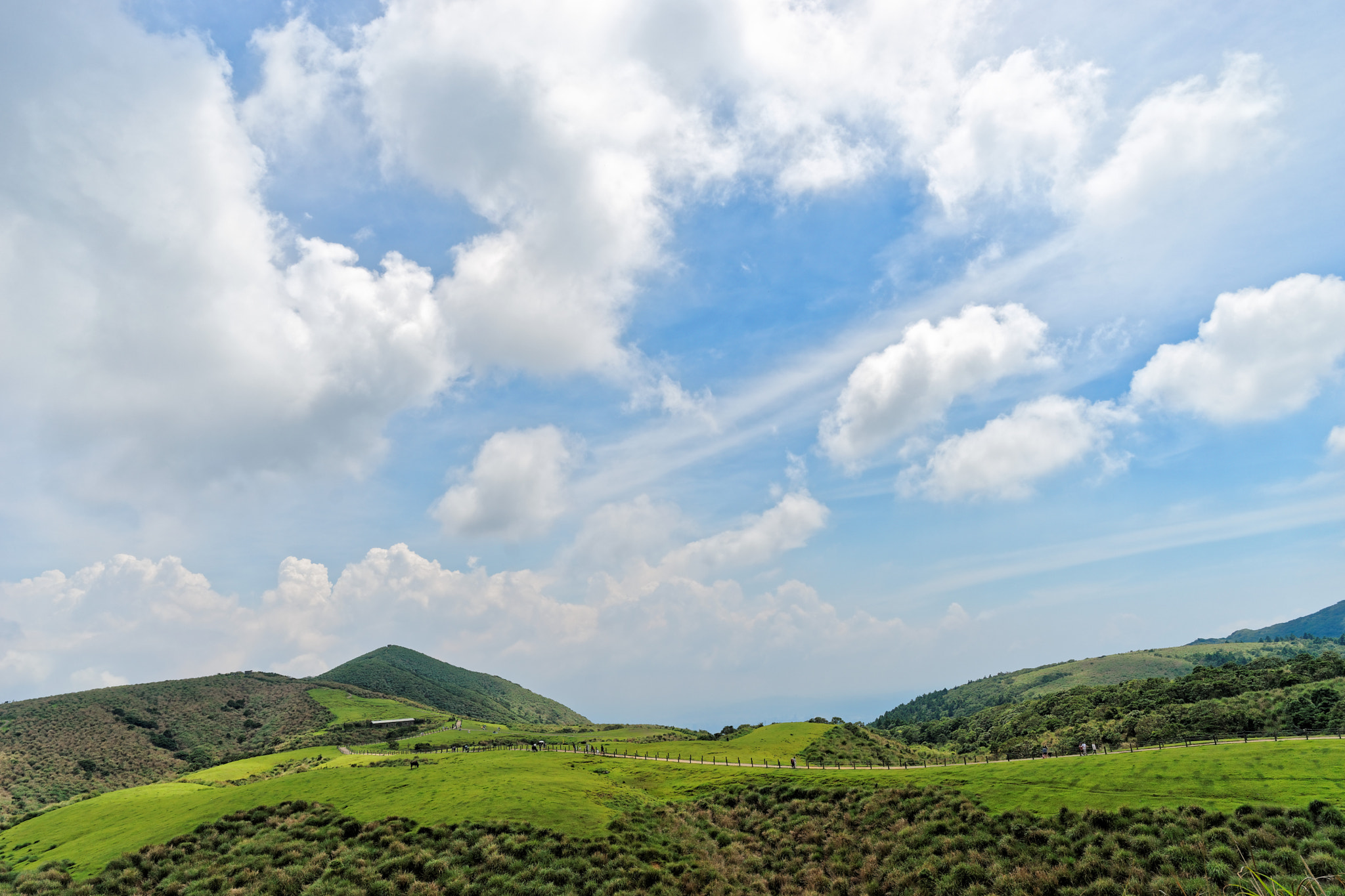 Sony a7 + ZEISS Batis 25mm F2 sample photo. Meadow photography