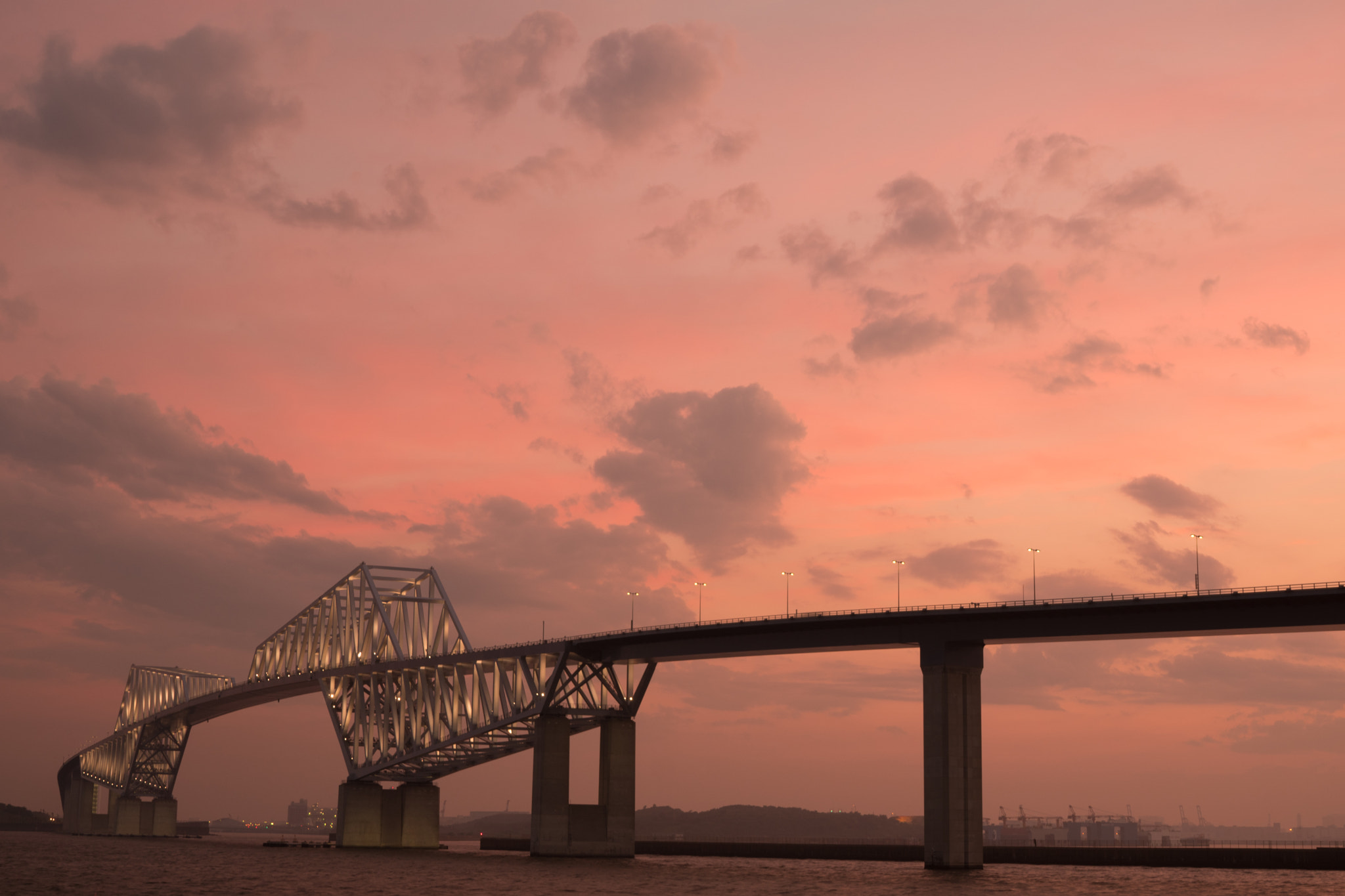 Sony a6300 + Sony Distagon T* FE 35mm F1.4 ZA sample photo. Tokyo gate bridge in sunset photography