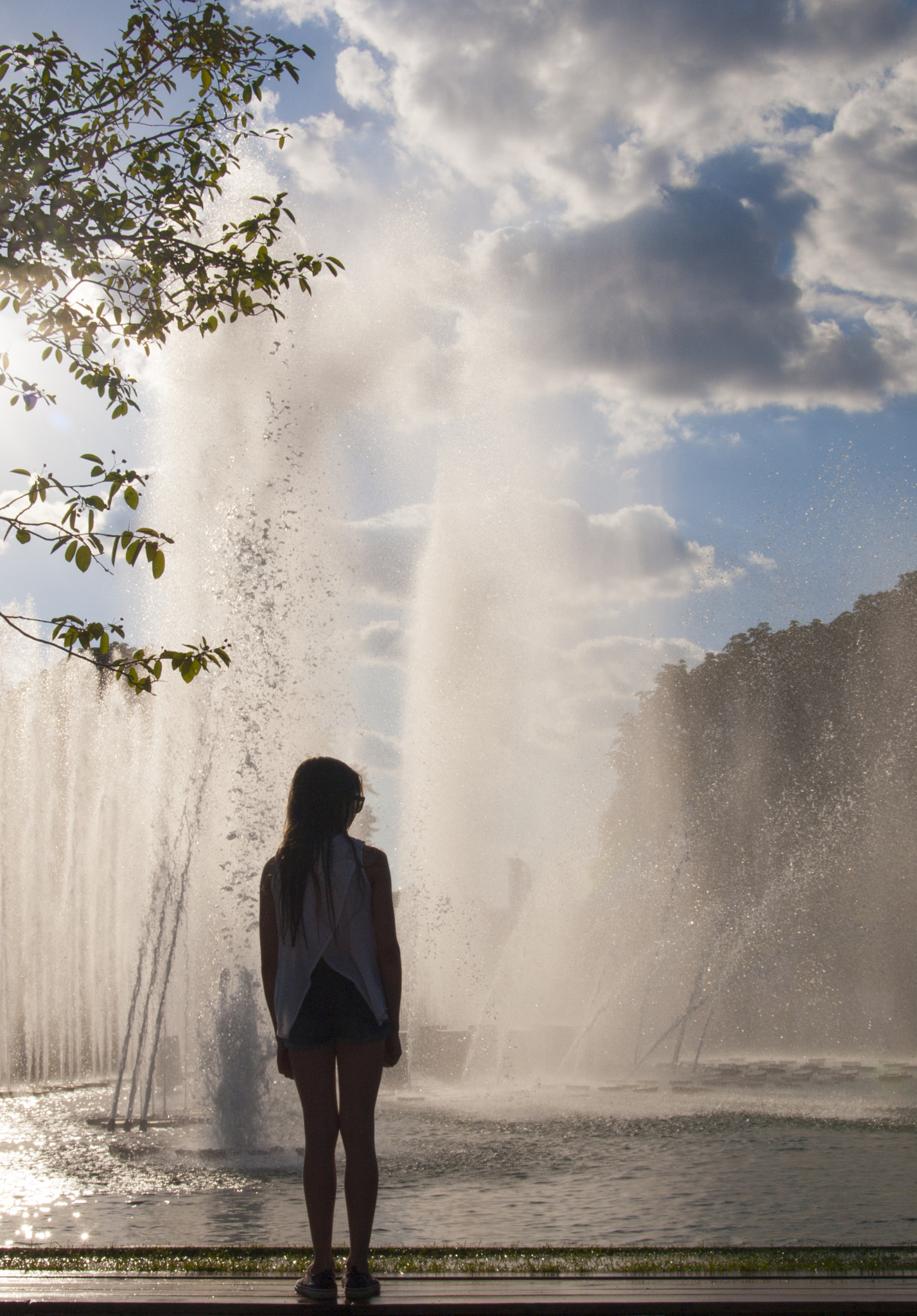 Olympus E-520 (EVOLT E-520) + SIGMA 18-50mm F2.8 DC sample photo. Dreaming about the rain photography