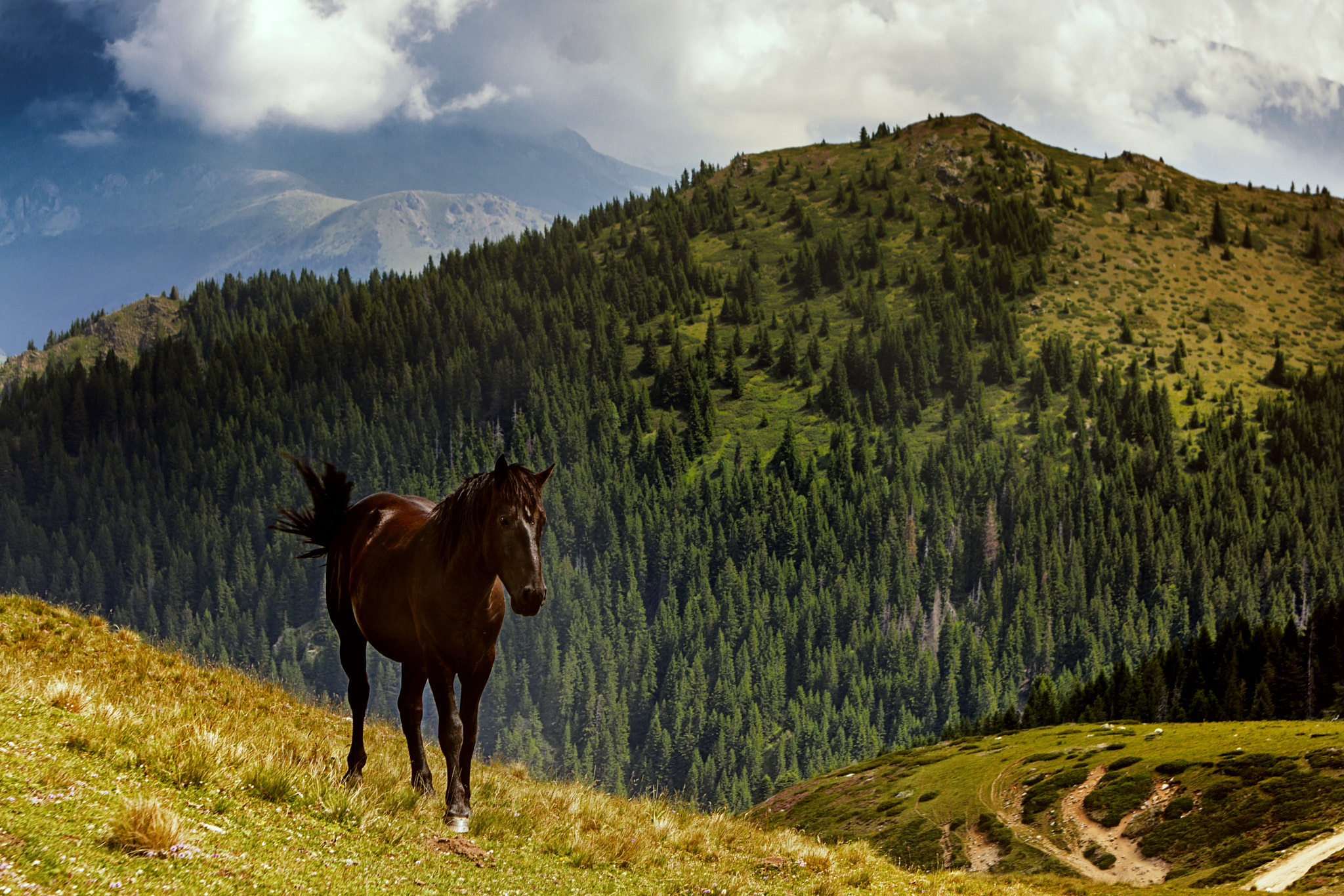 Canon EOS 50D + EF28-70mm f/2.8L USM sample photo. Freedom photography