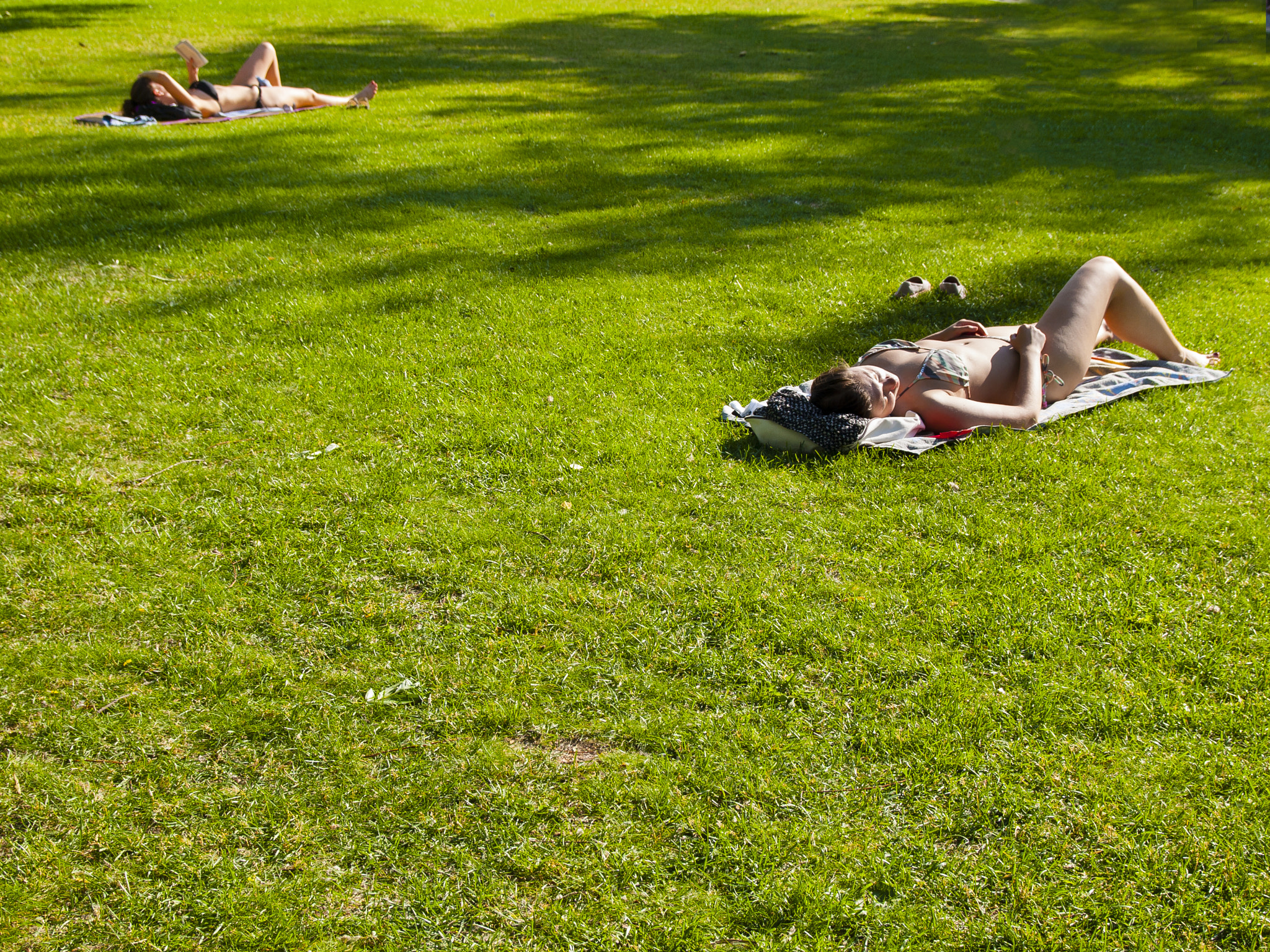 Olympus E-520 (EVOLT E-520) + SIGMA 18-50mm F2.8 DC sample photo. Sunbathing in moscow photography