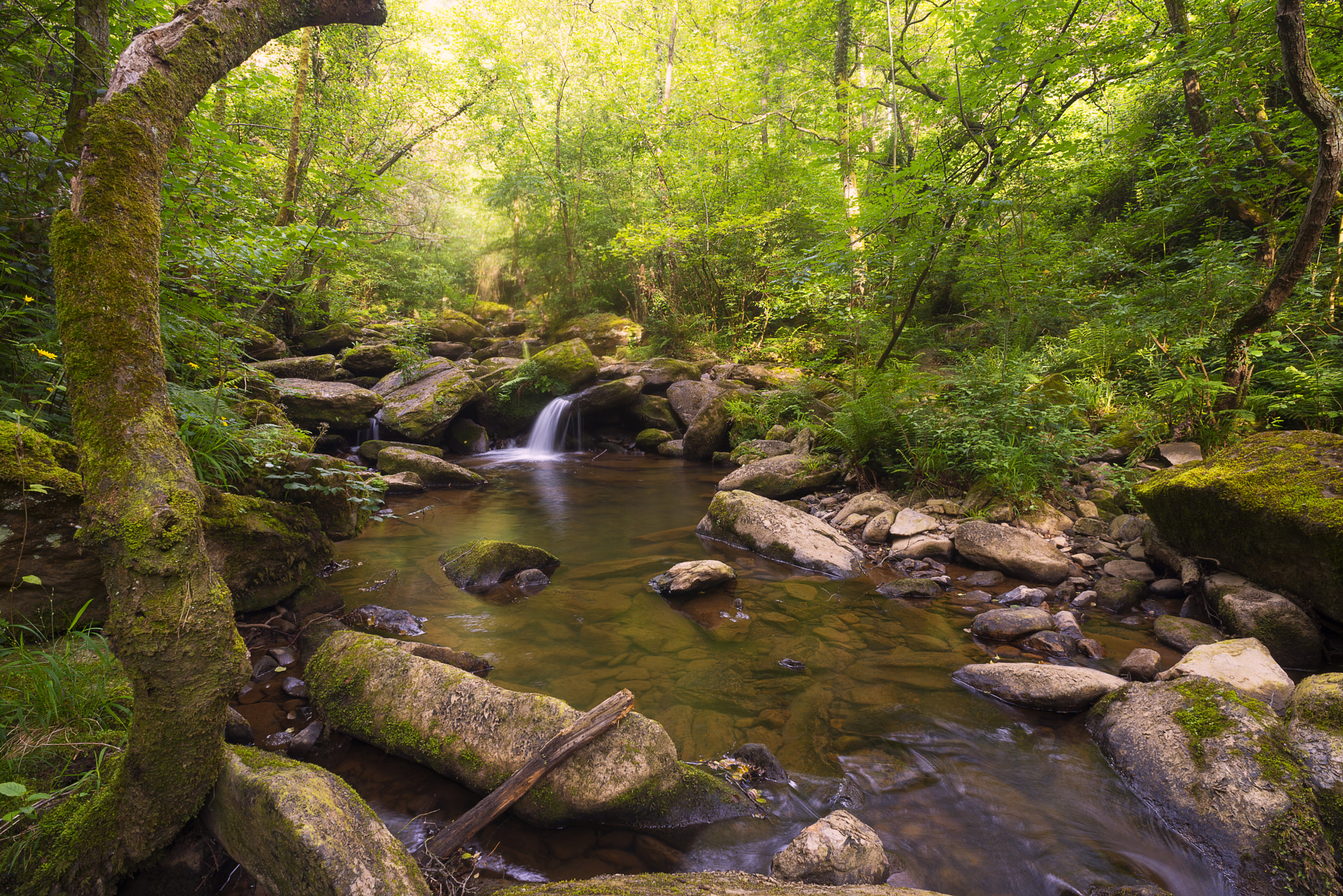 Nikon D610 + Nikon AF Nikkor 20mm F2.8D sample photo. Rocky river ii photography