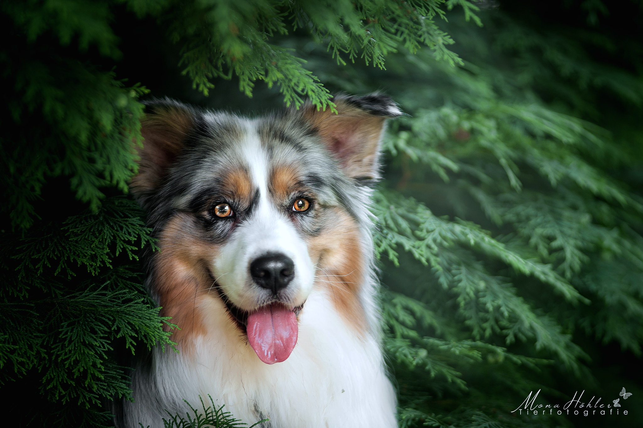 Nikon AF Nikkor 180mm F2.8D ED-IF sample photo. Mystic eyes photography